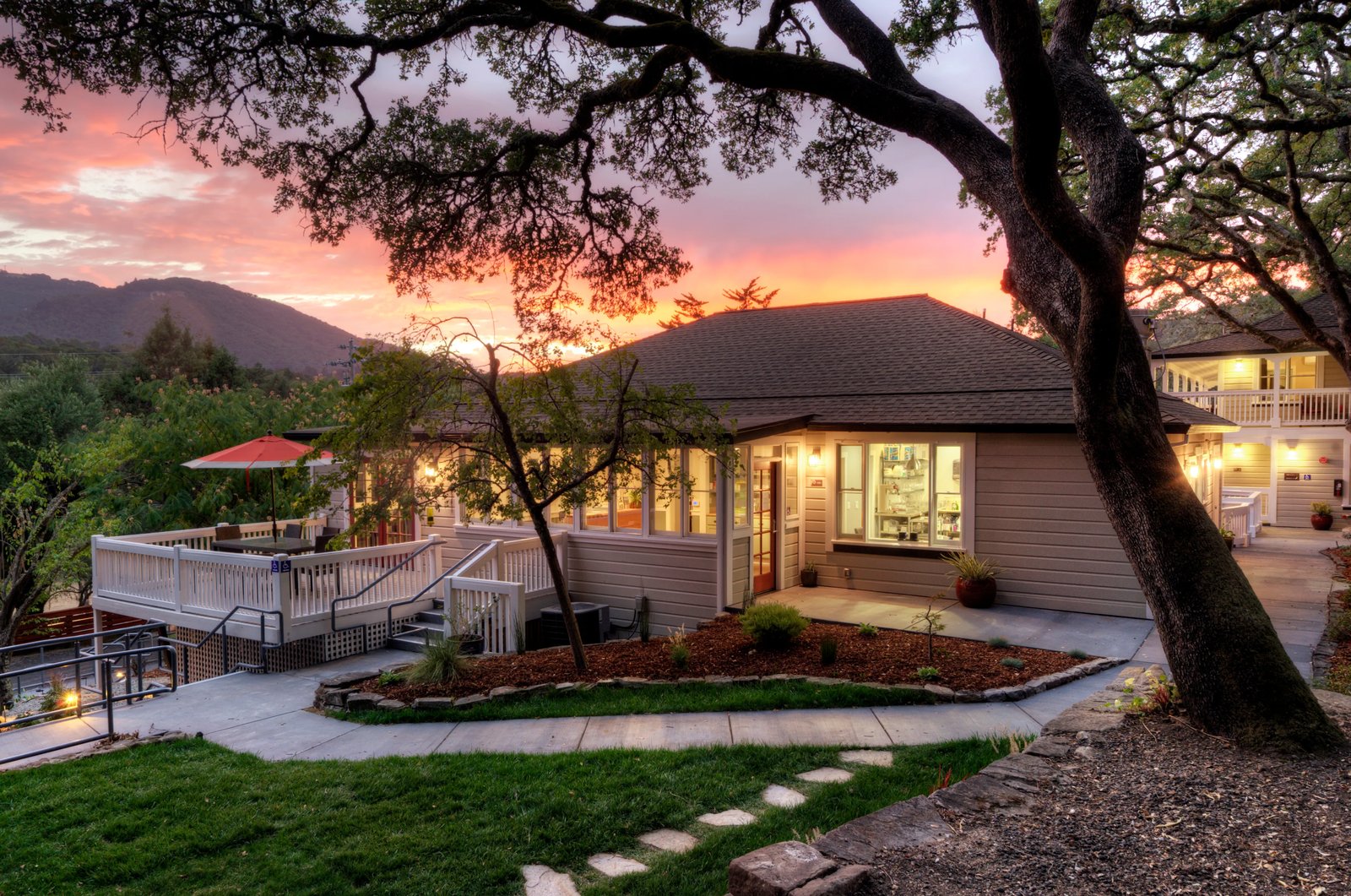 Olea Hotel, how it began