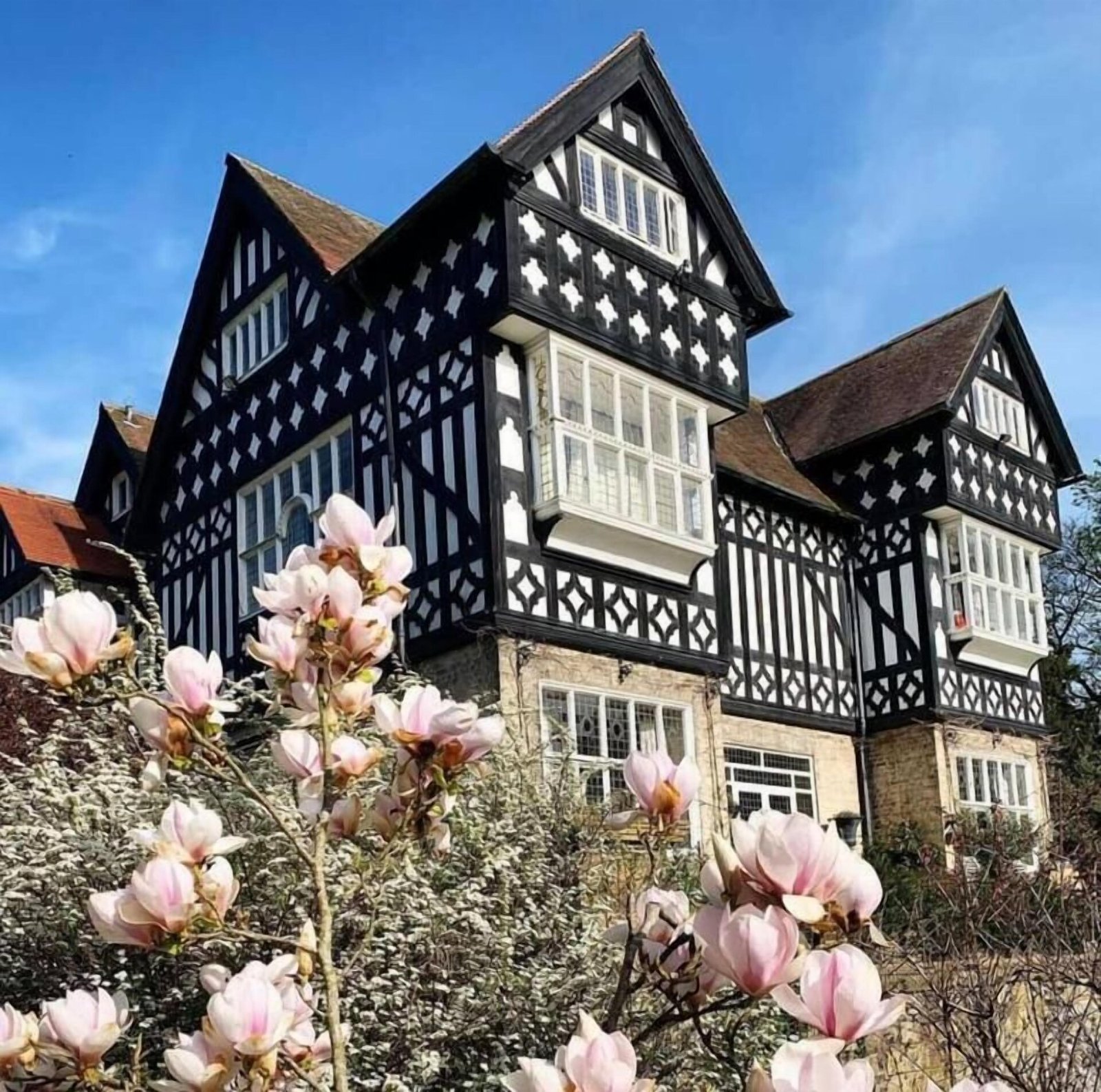 The Highfield, how it began