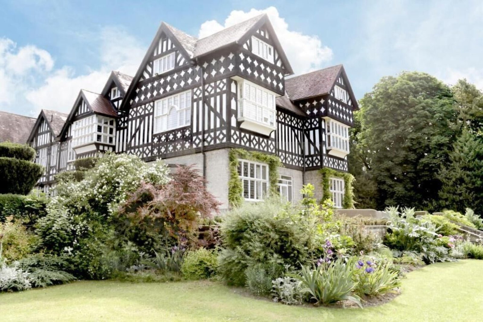 The Highfield