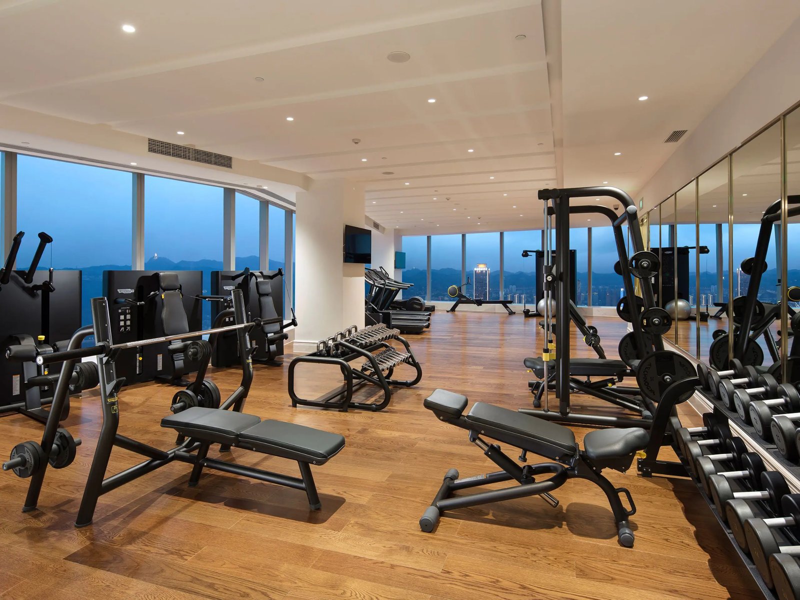 The Lixury Hotel -The Unbound Collection by Hyatt, the gym