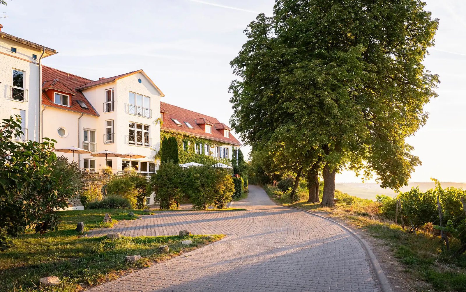 Hofgut Wißberg - Das Weinberghotel, how it began