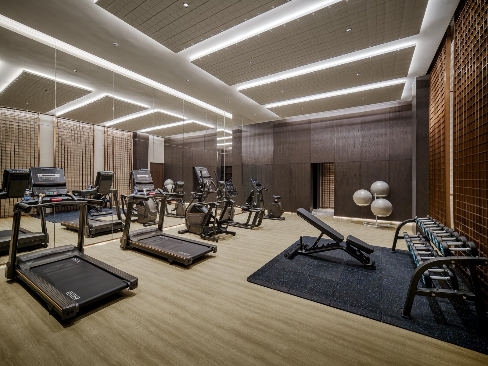 voco Chengdu Jiuyanqiao, the gym