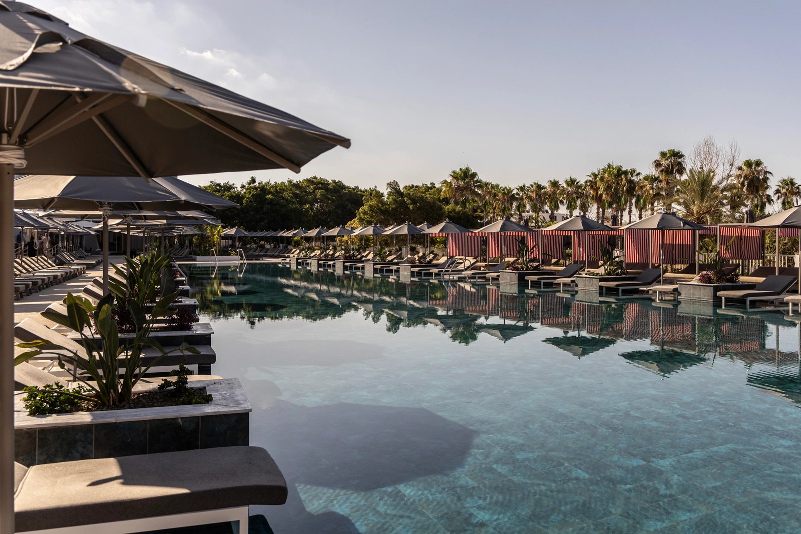 Cali Resort & Spa by Louis Hotels, the pool