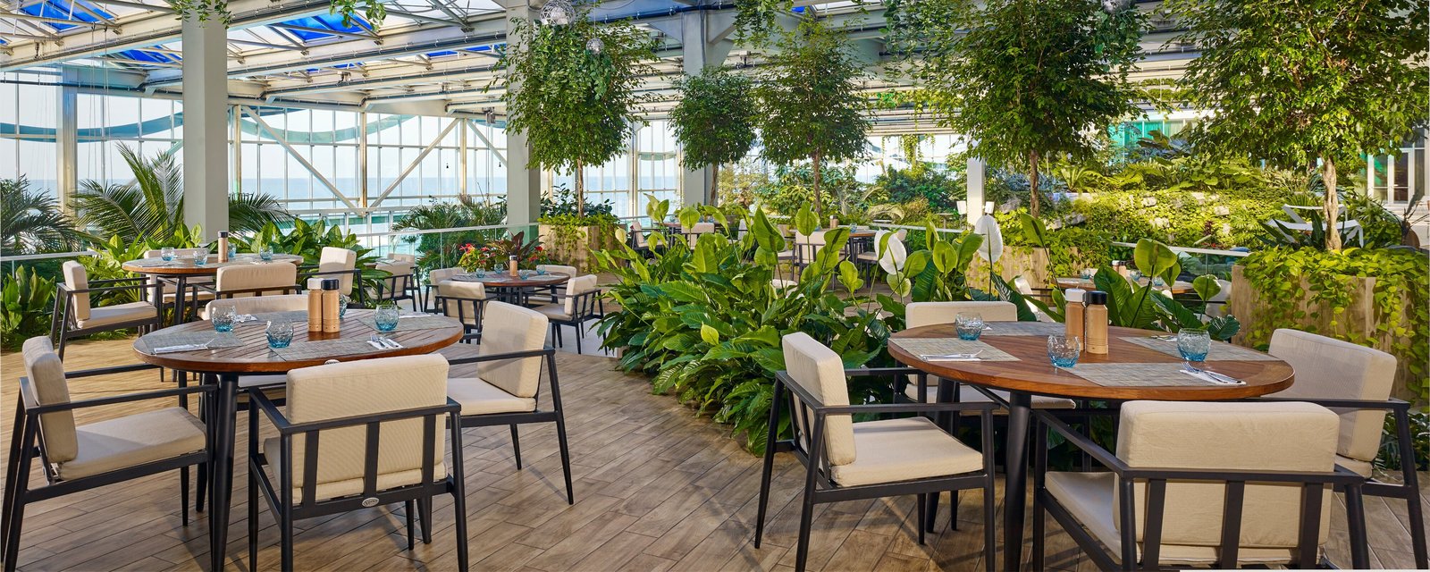 Paragraph Resort & Spa Shekvetili, Autograph Collection, winter garden