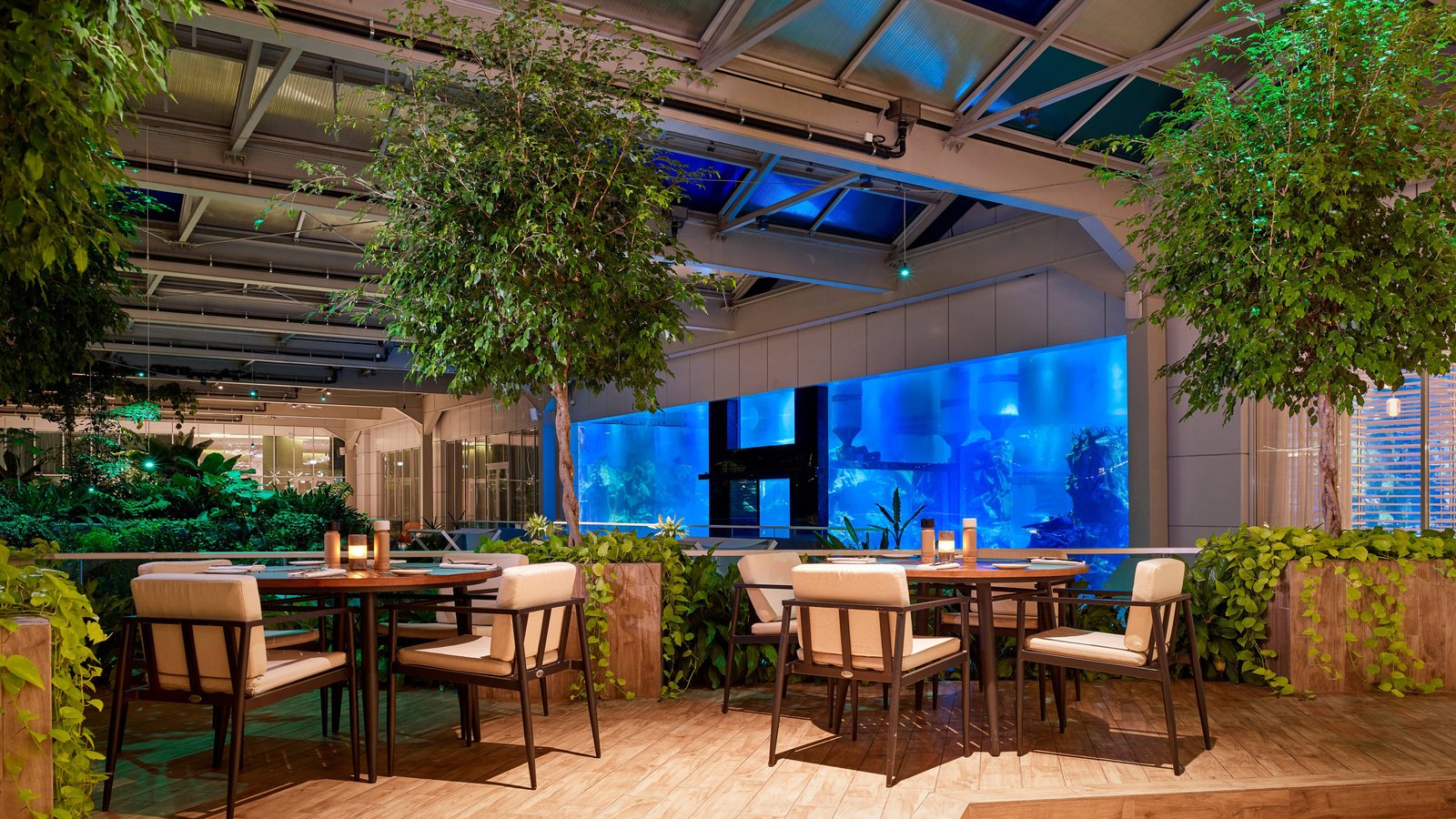 Paragraph Resort & Spa Shekvetili, Autograph Collection, winter garden