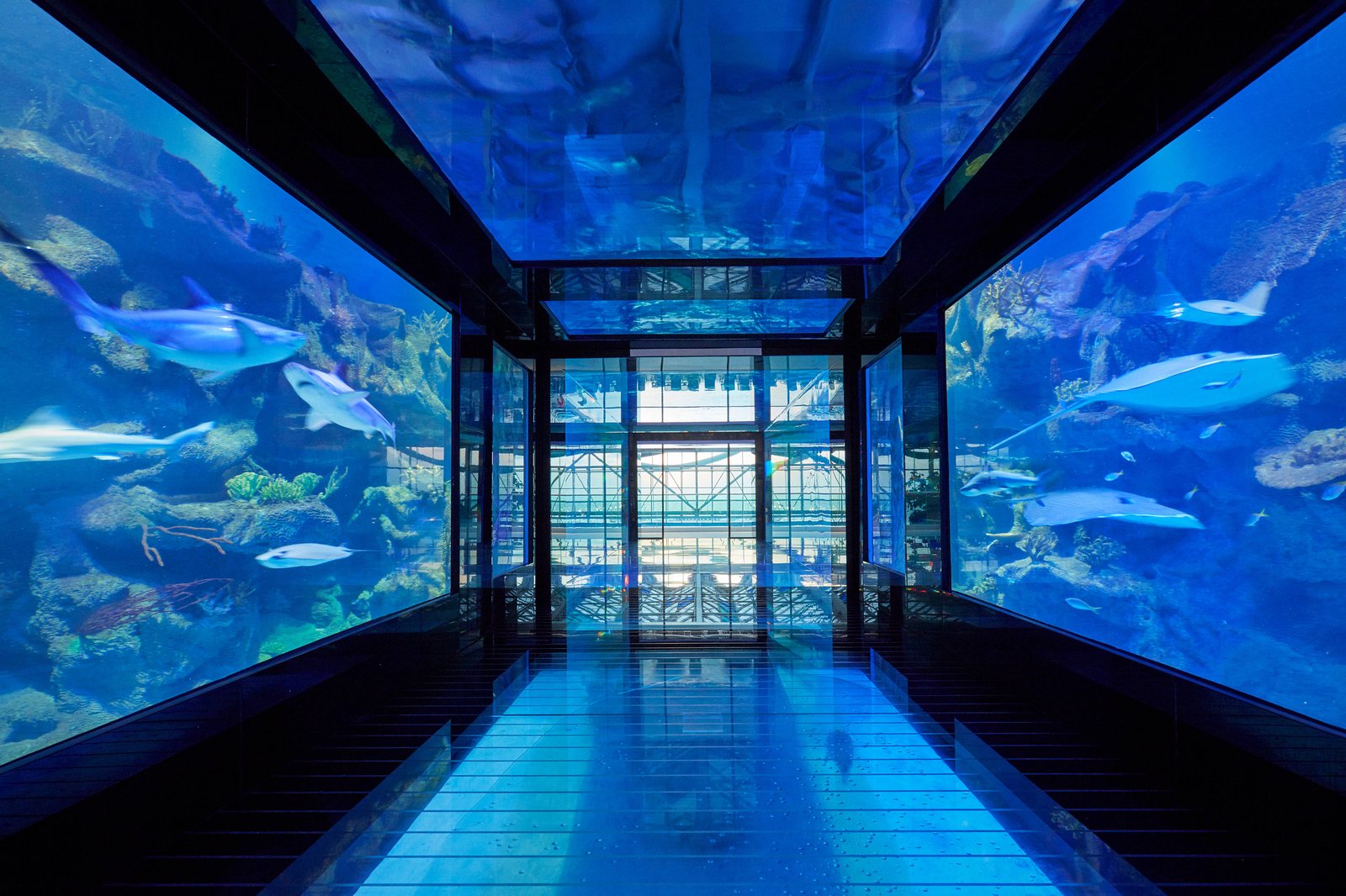 Paragraph Resort & Spa Shekvetili, Autograph Collection