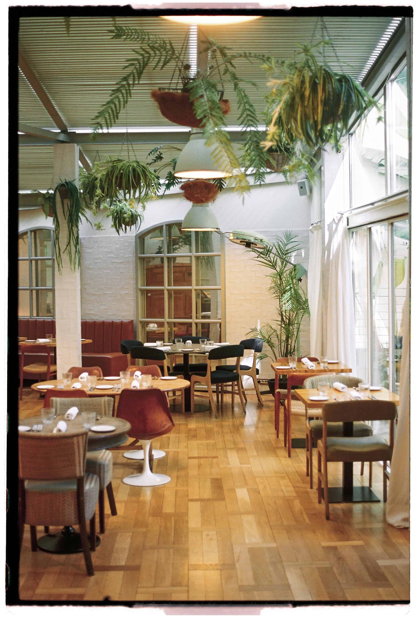 Hotel Pulitzer Barcelona, the greenhouse