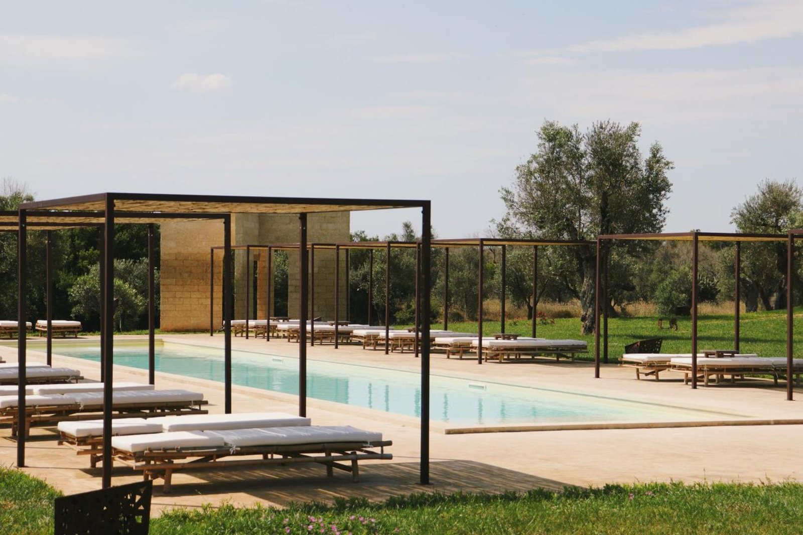 Secolario - Masseria del Viverbene