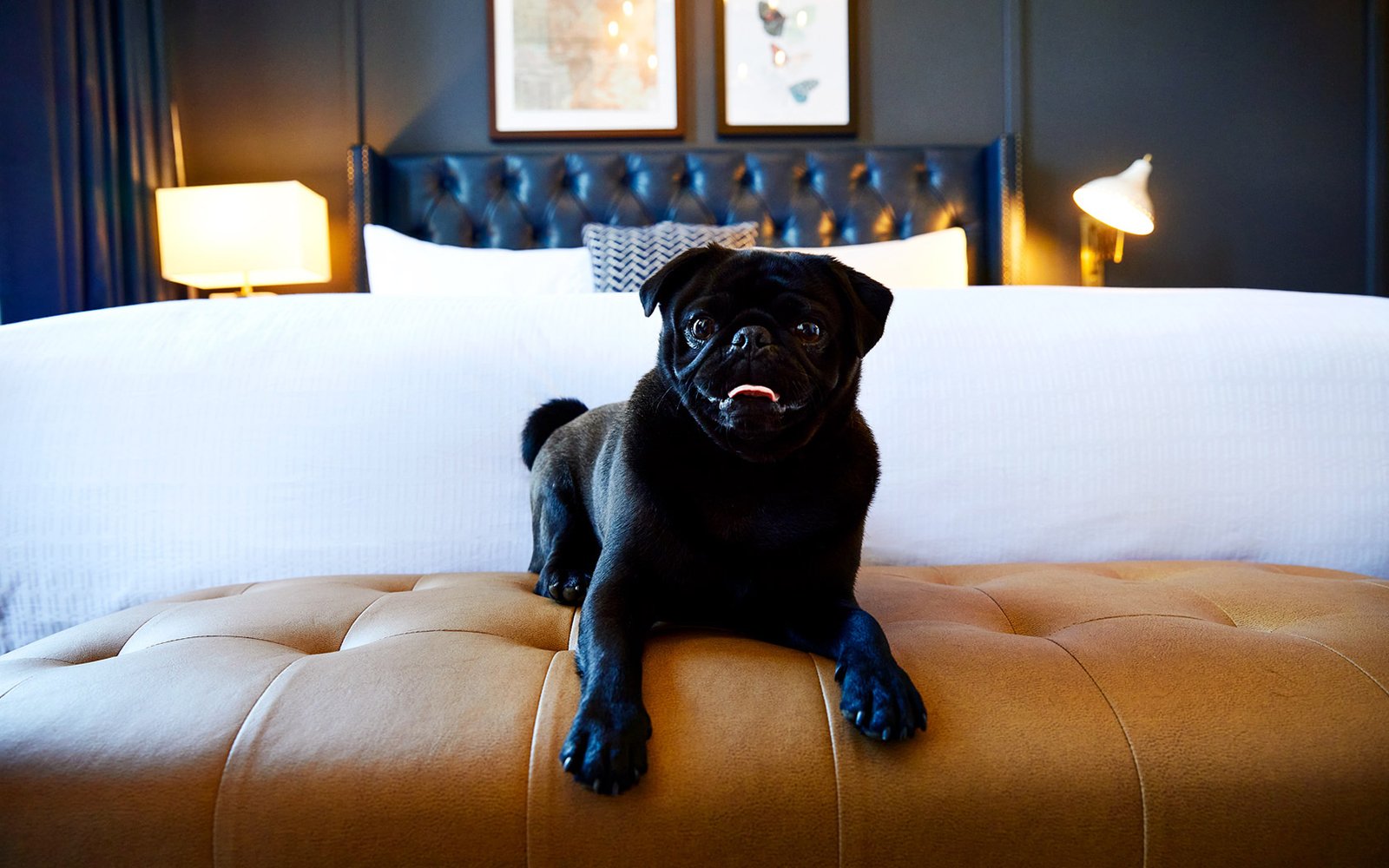 The Grady Hotel