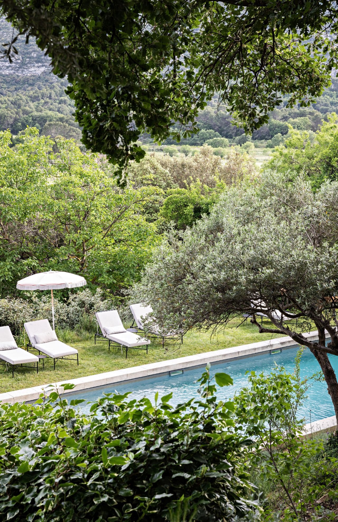 Bastide du Mourre, the pool
