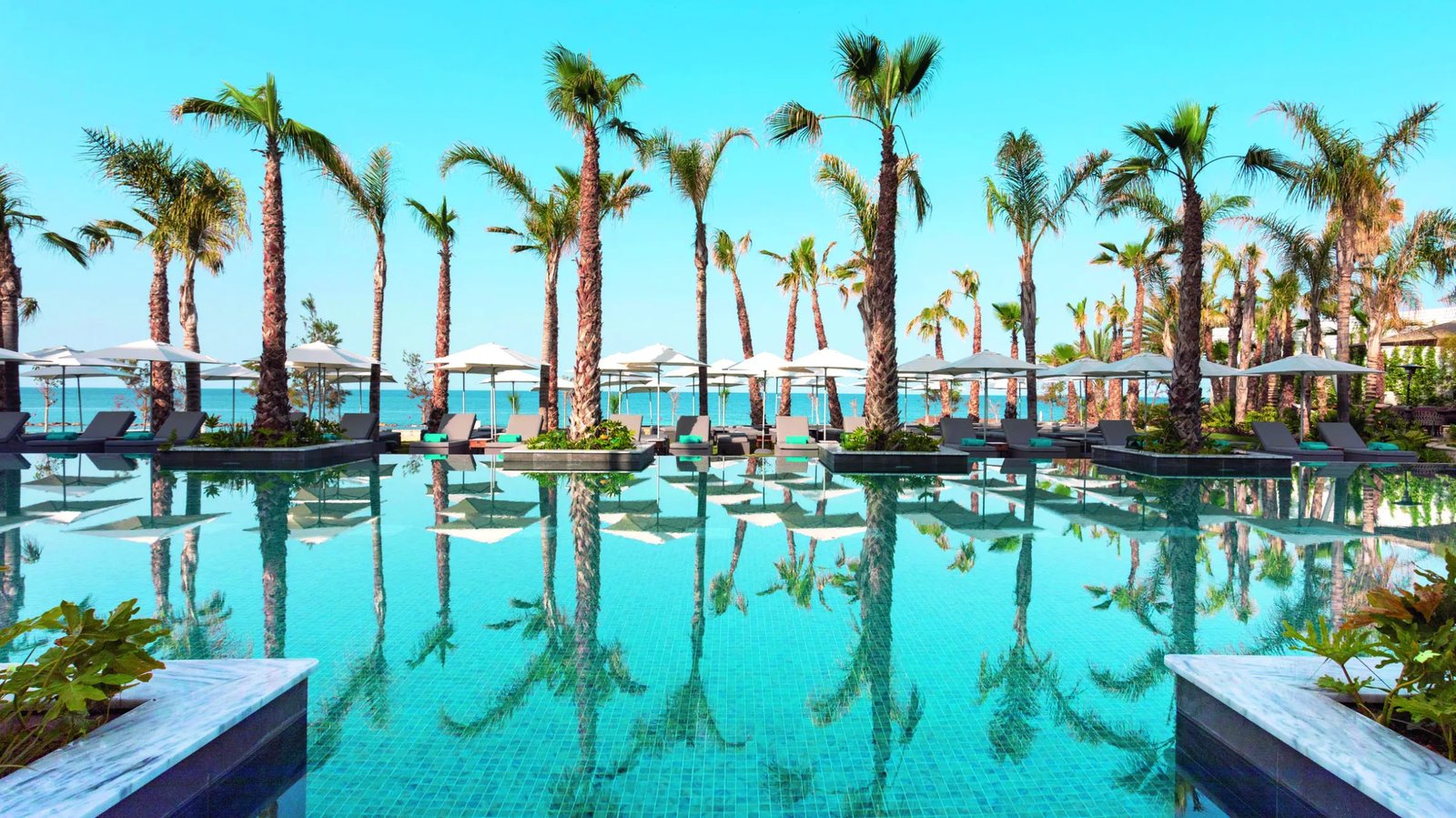 Amavi, the pool