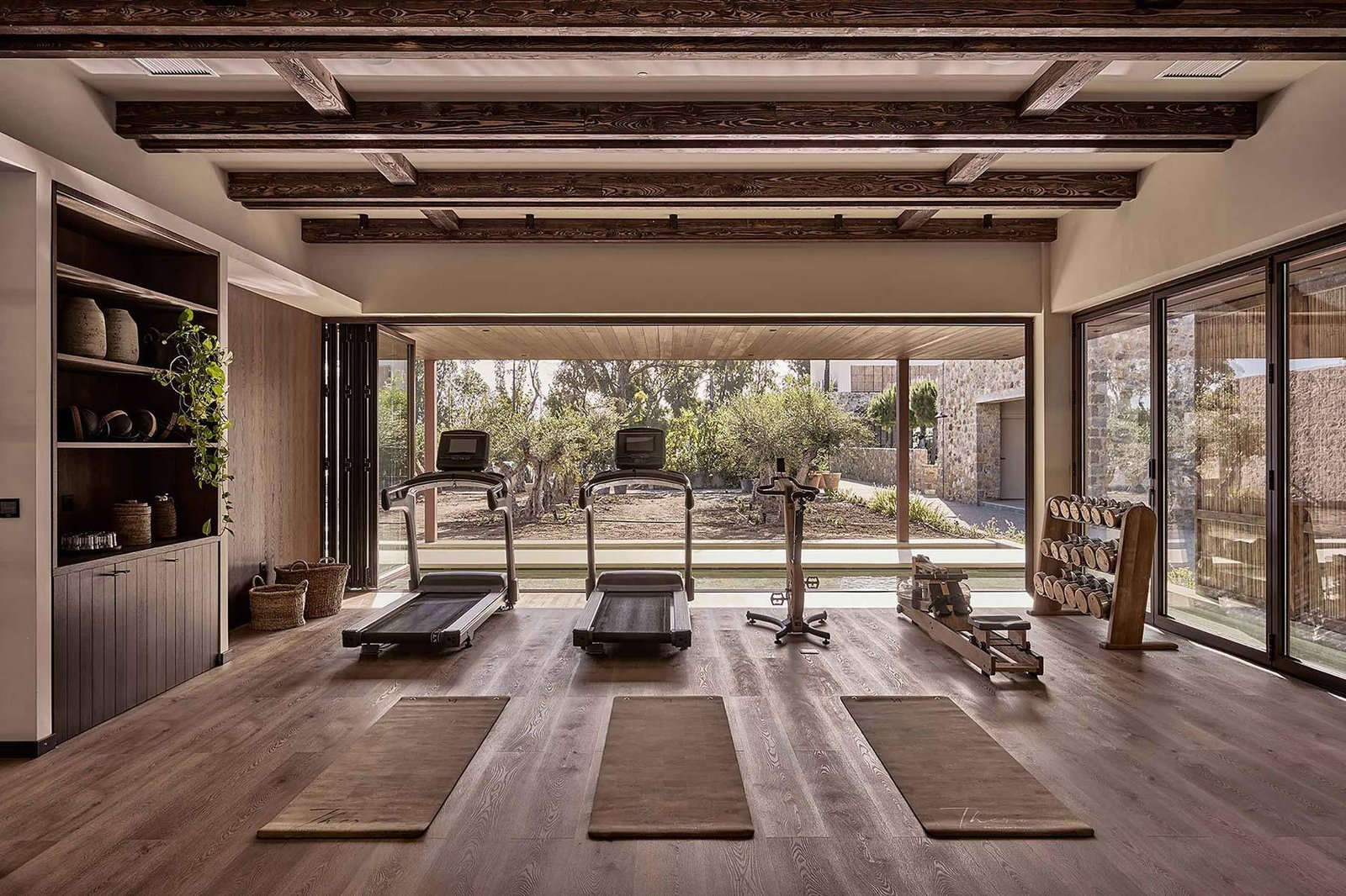 Theros All Suite Hotel, the gym