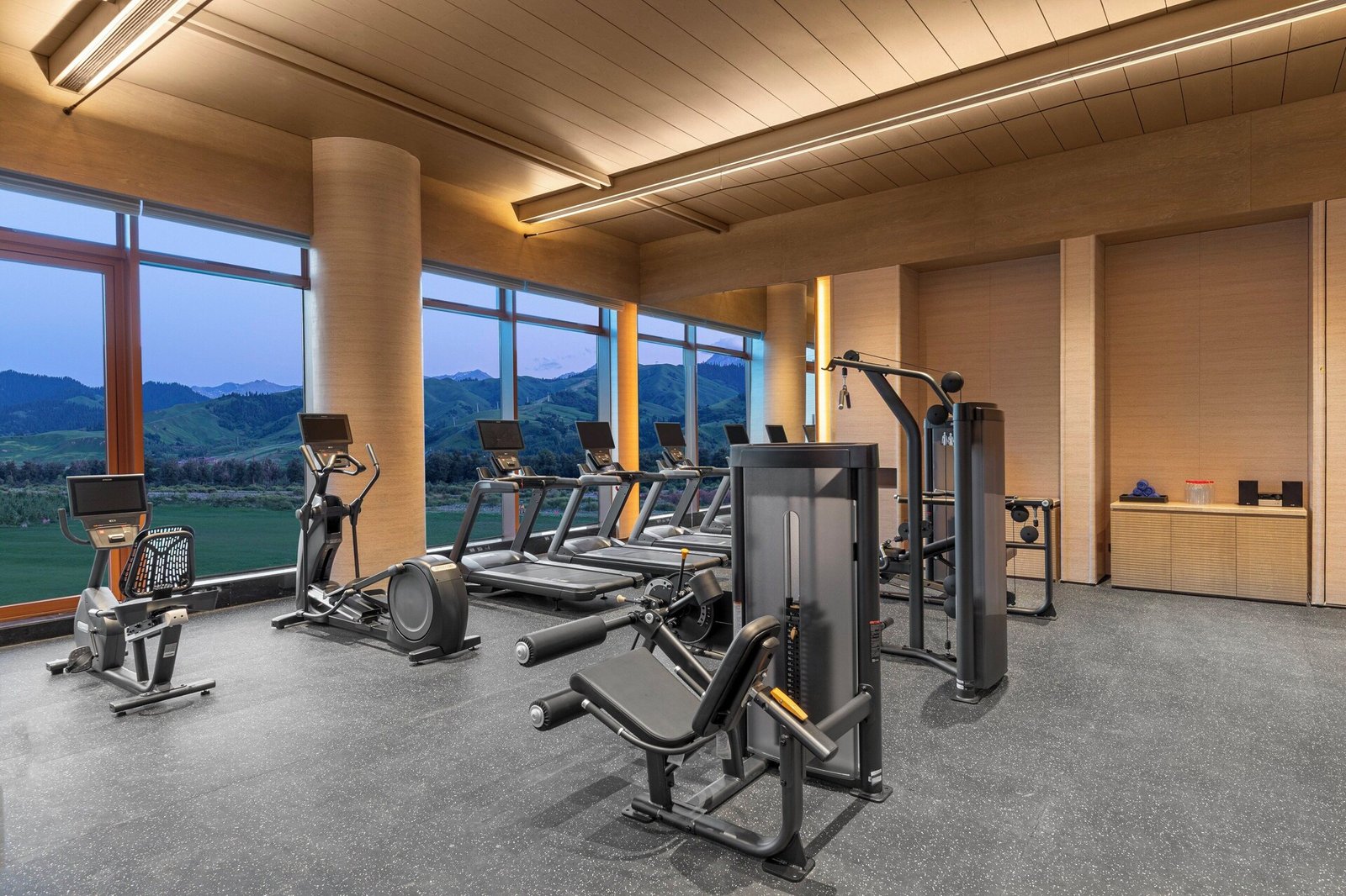 Hotel Indigo Nalati by IHG, the gym