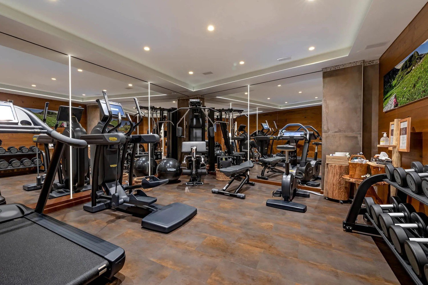 Fiocco Di Neve Relais & Spa, the gym