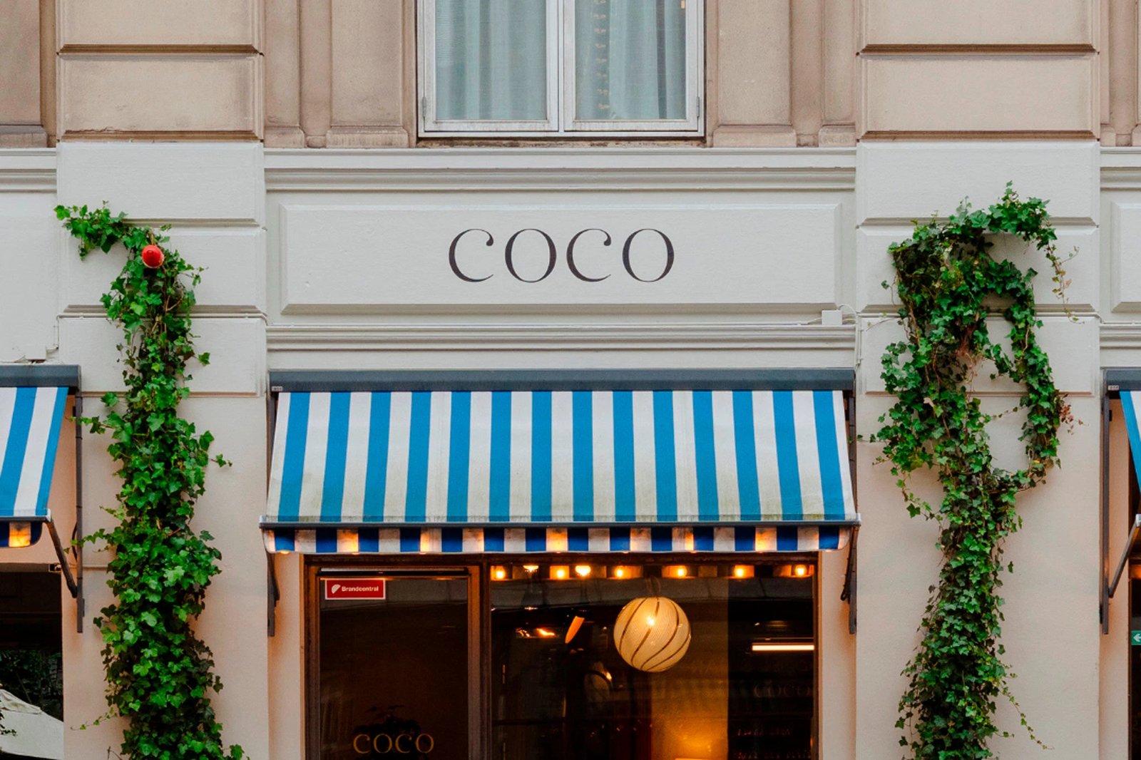 Coco Hotel — backstory