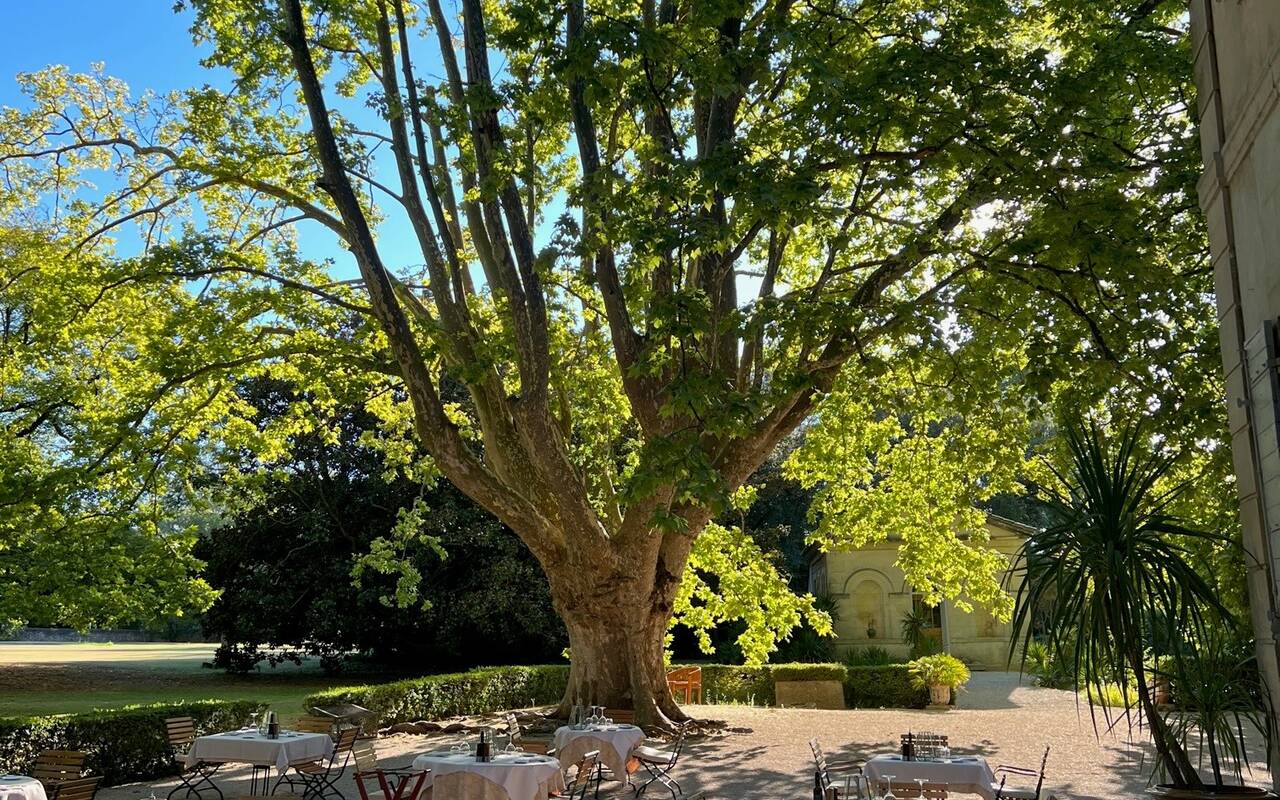 Le Château des Alpilles, at the table