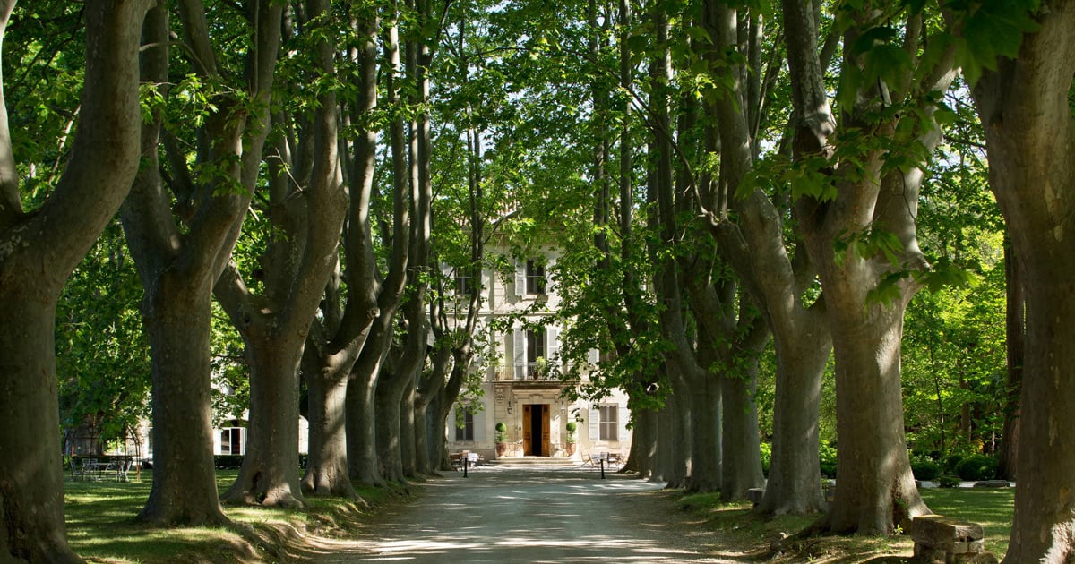 Le Château des Alpilles, how it began