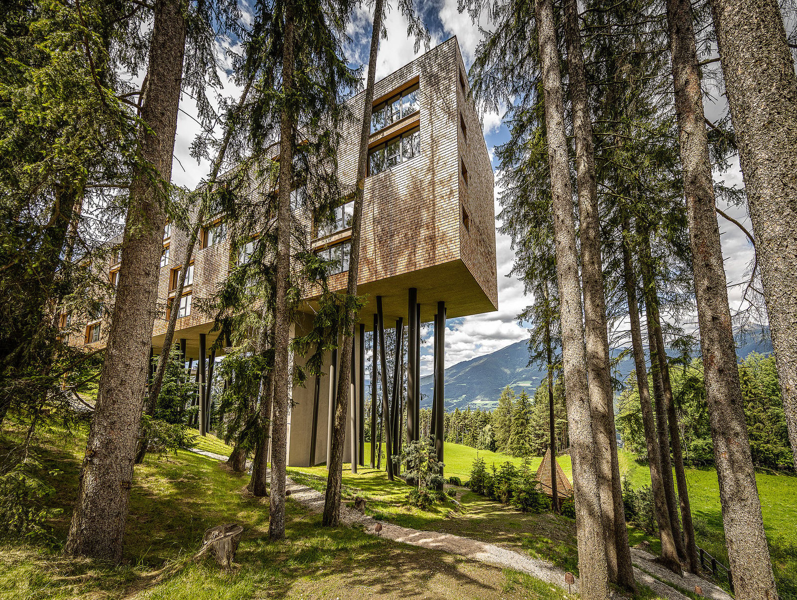 My Arbor - Dolomites
