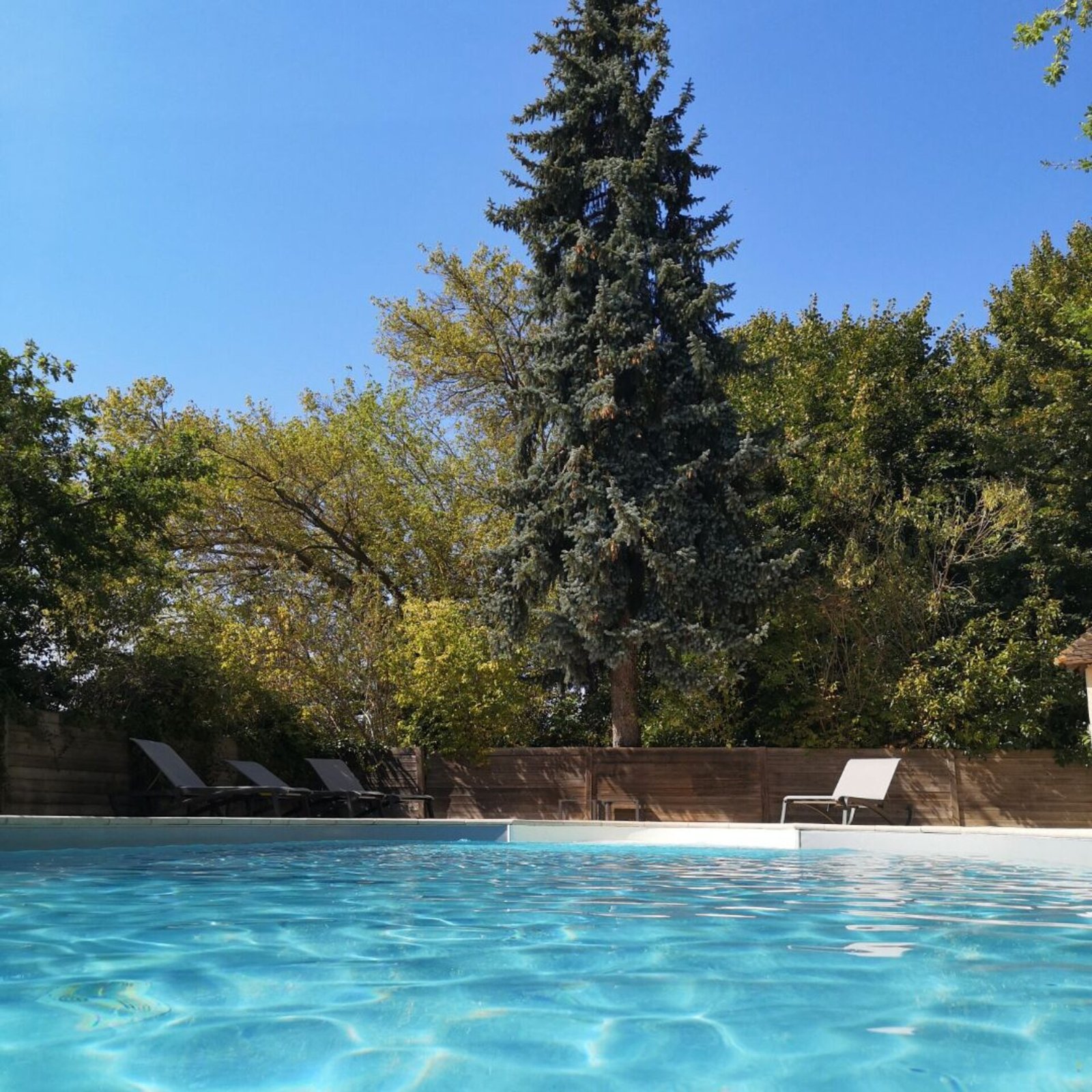 Le Moulin de Connelles, the pool