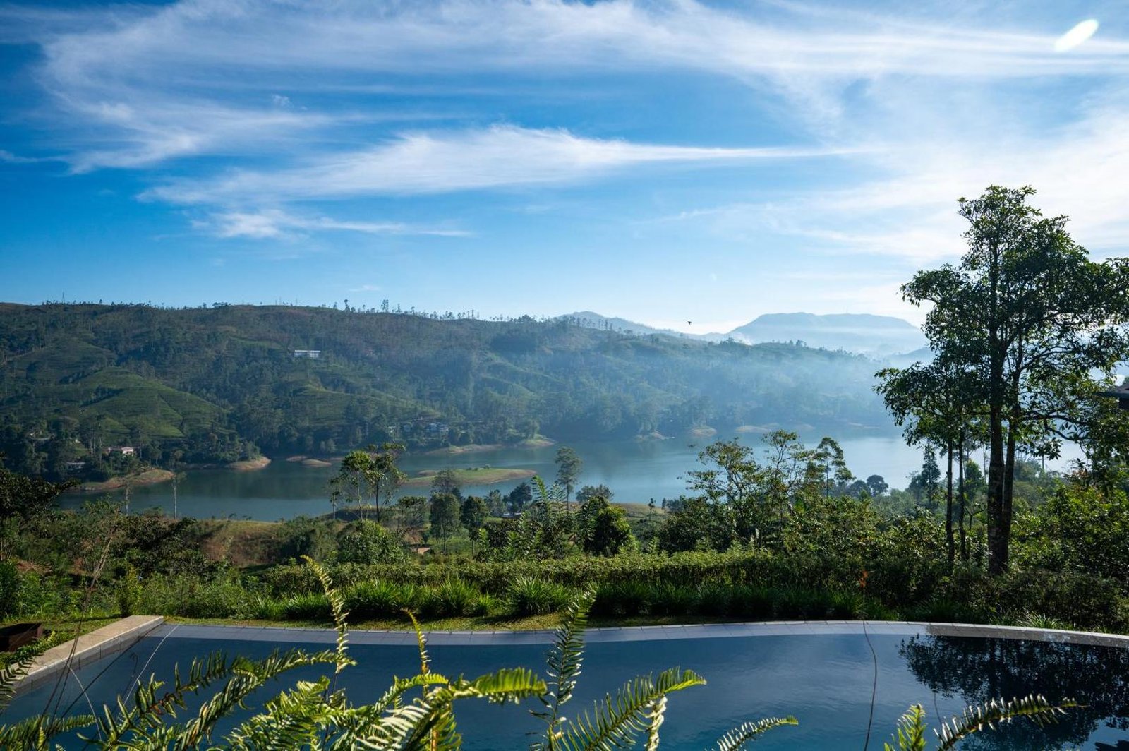 Camellia Hills by Teardrop Hotels, the pool