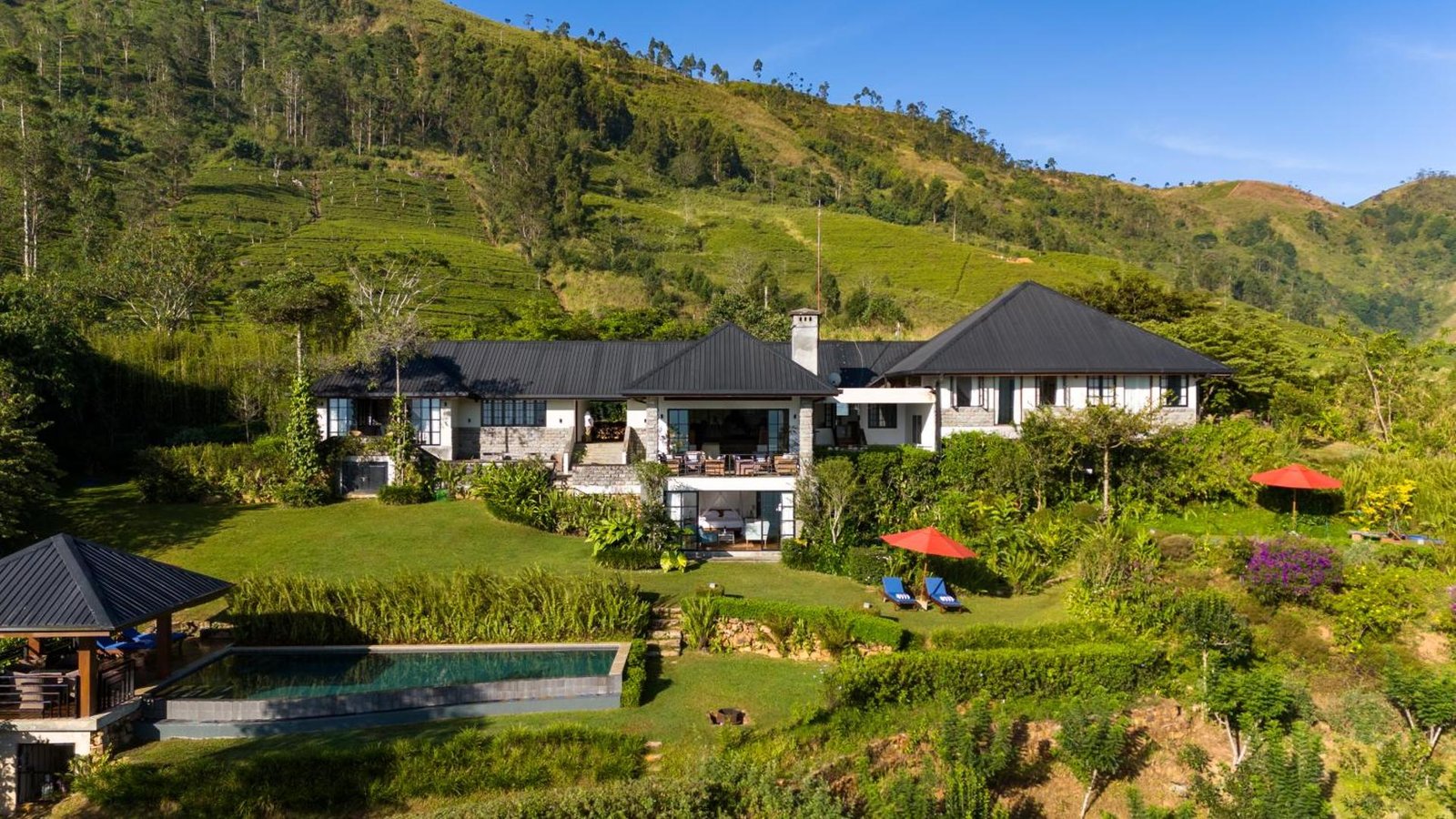 Camellia Hills by Teardrop Hotels, how it began