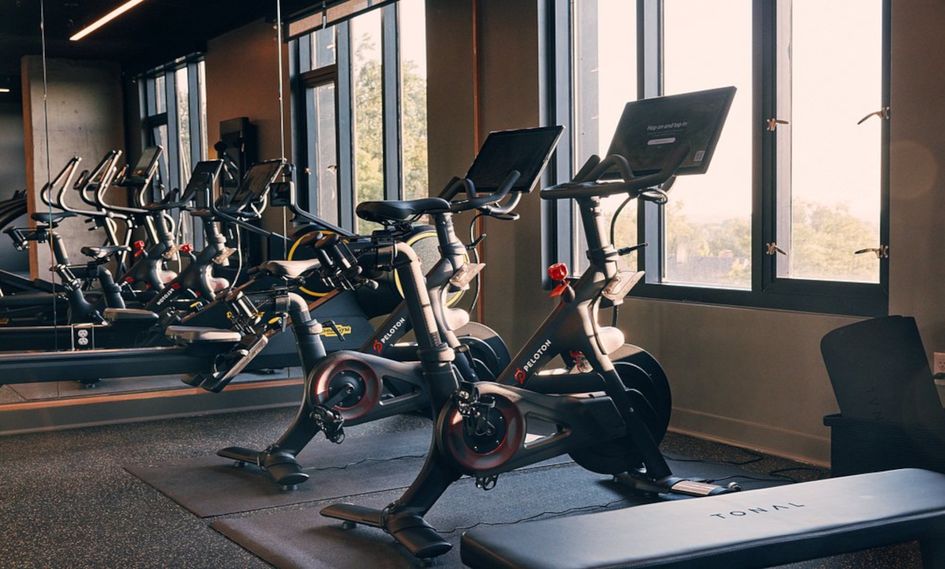 Limelight Boulder, the gym