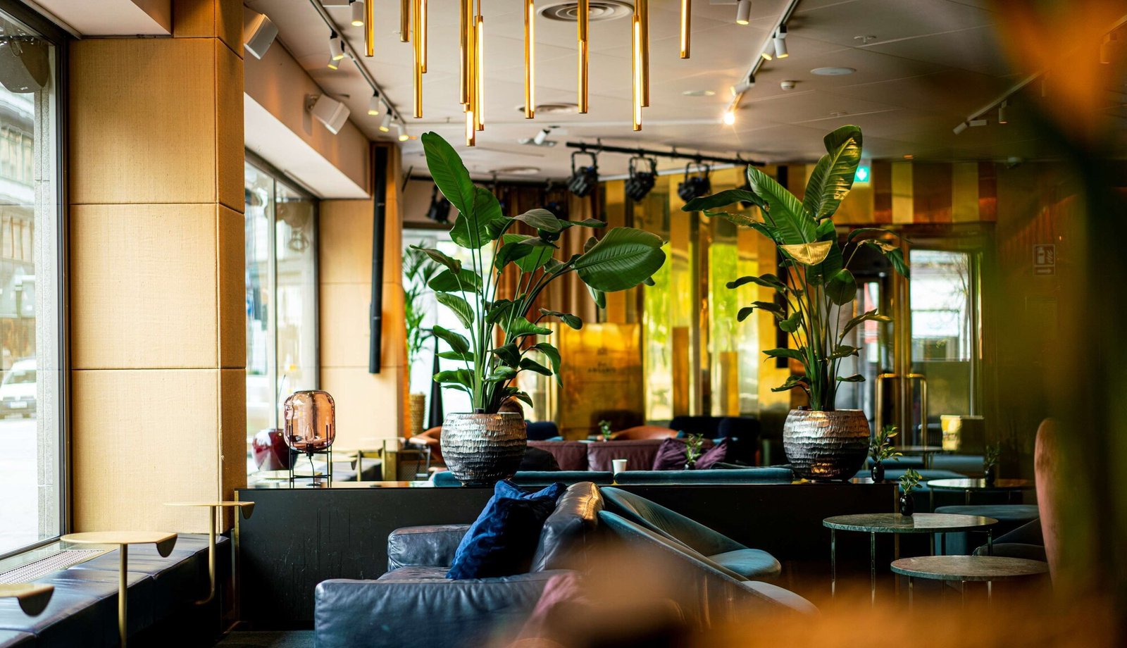 Elite Arcadia — eat & drink