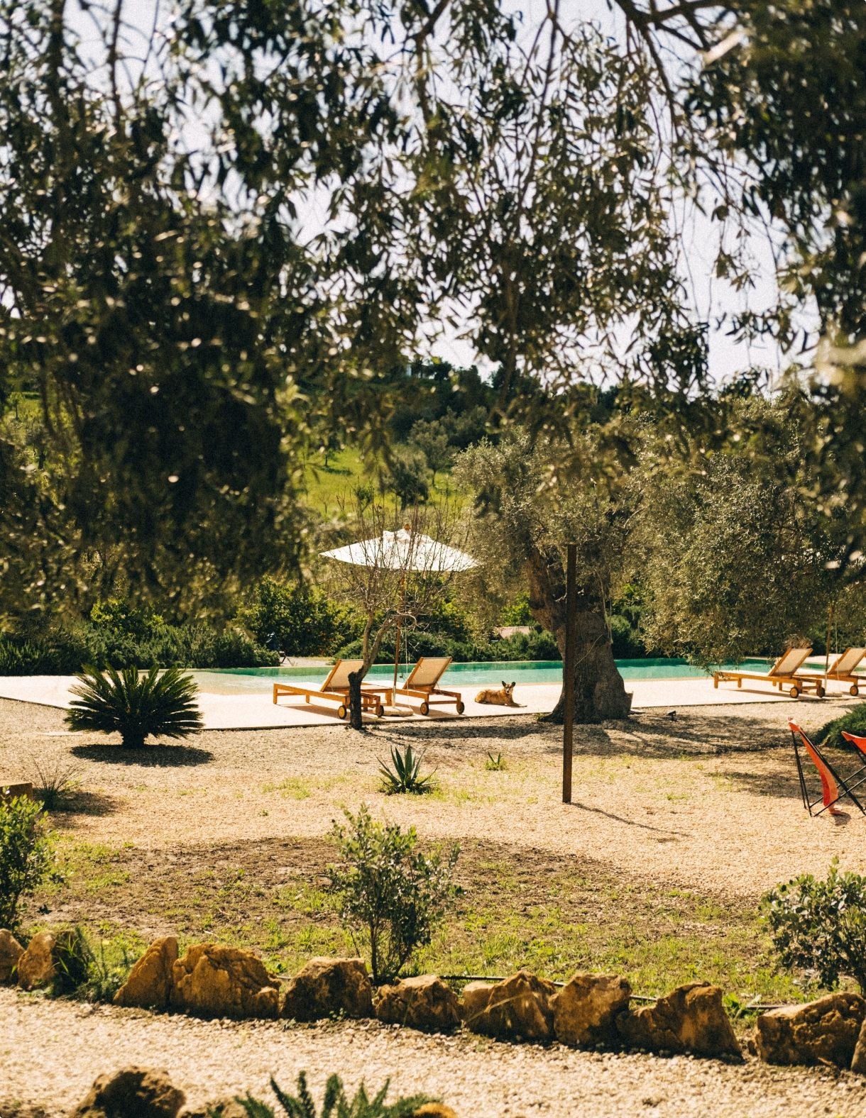 IUTA Farm, the pool