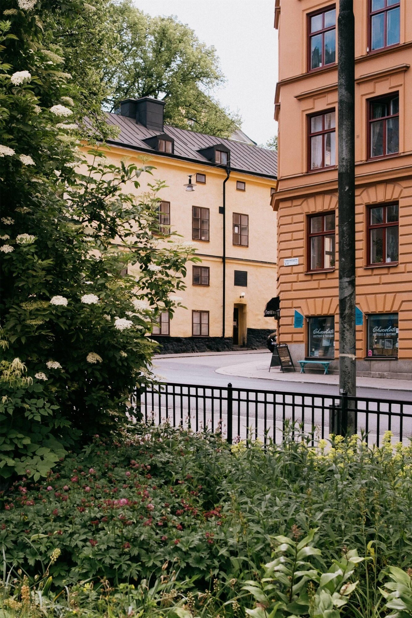 NOFO Hotel — backstory