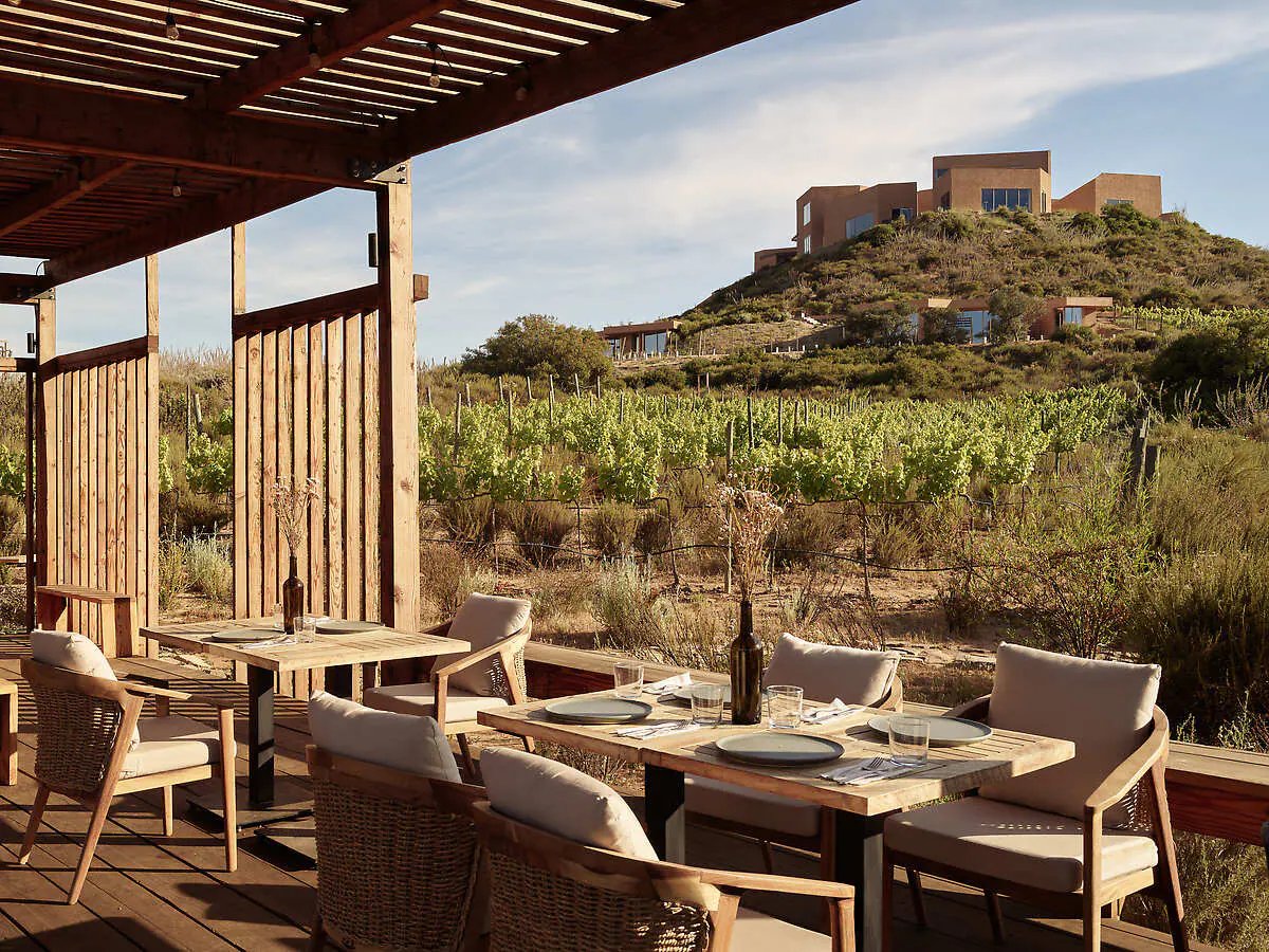 Banyan Tree Veya Valle de Guadalupe