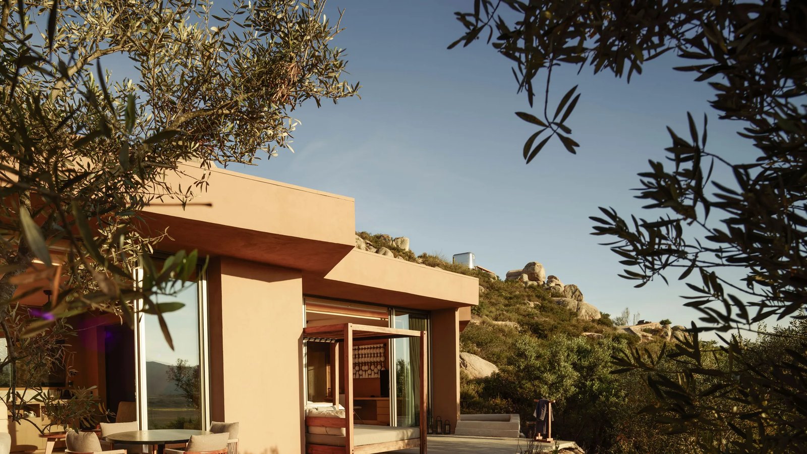 Banyan Tree Veya Valle de Guadalupe