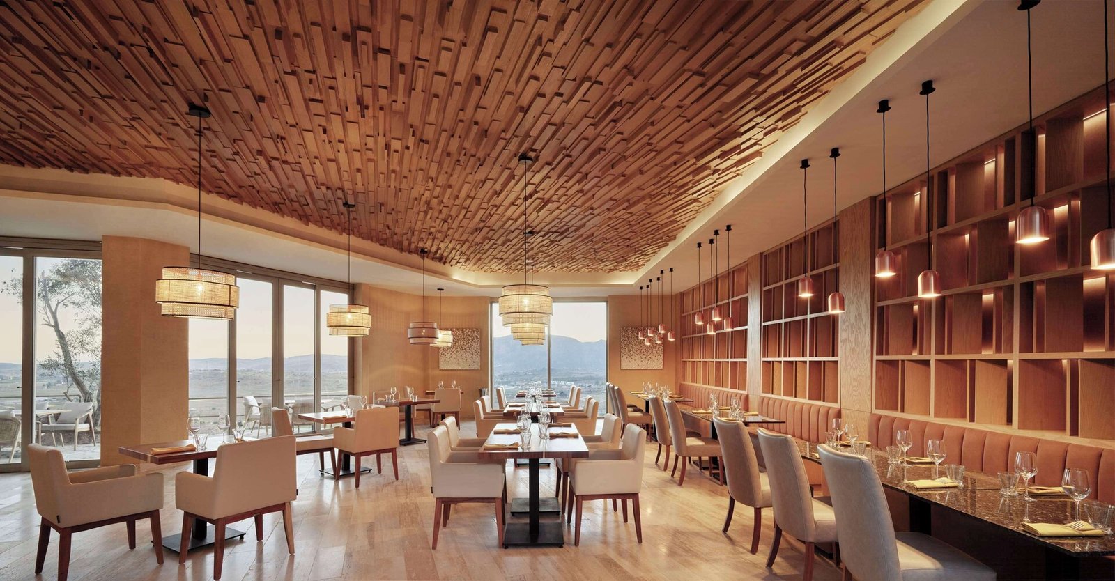 Banyan Tree Veya Valle de Guadalupe
