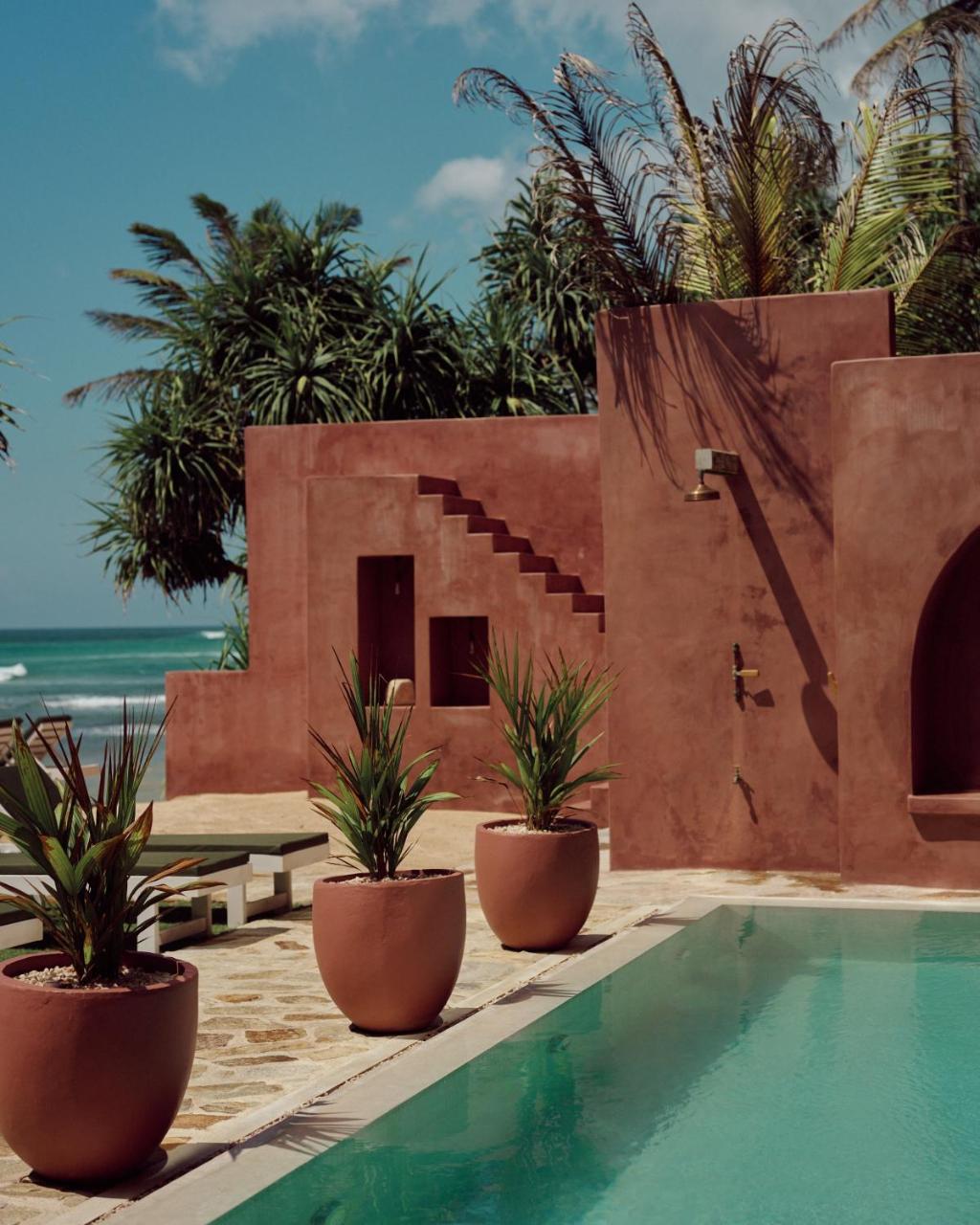 The Find, the pool
