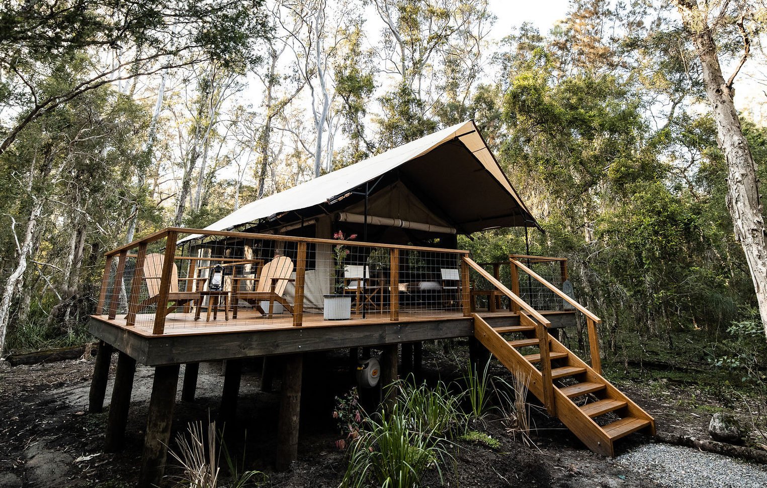 Paperbark Camp, how it began
