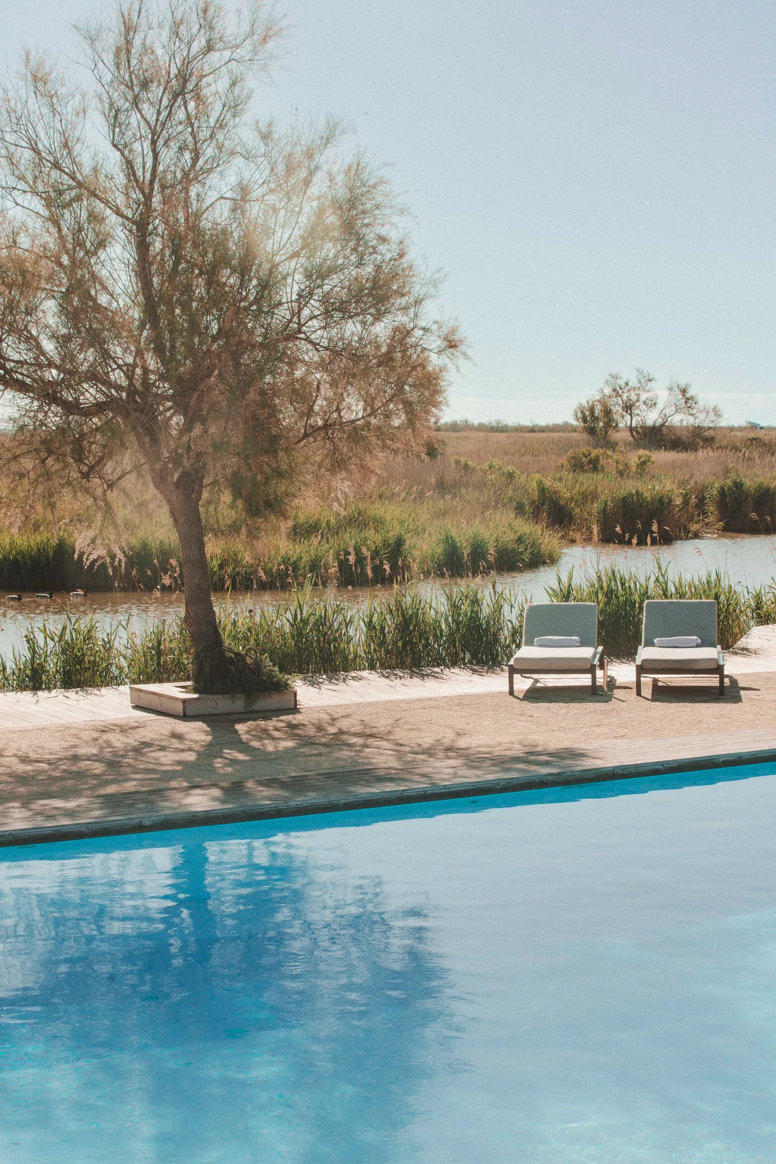 Les Bains Gardians, the pool