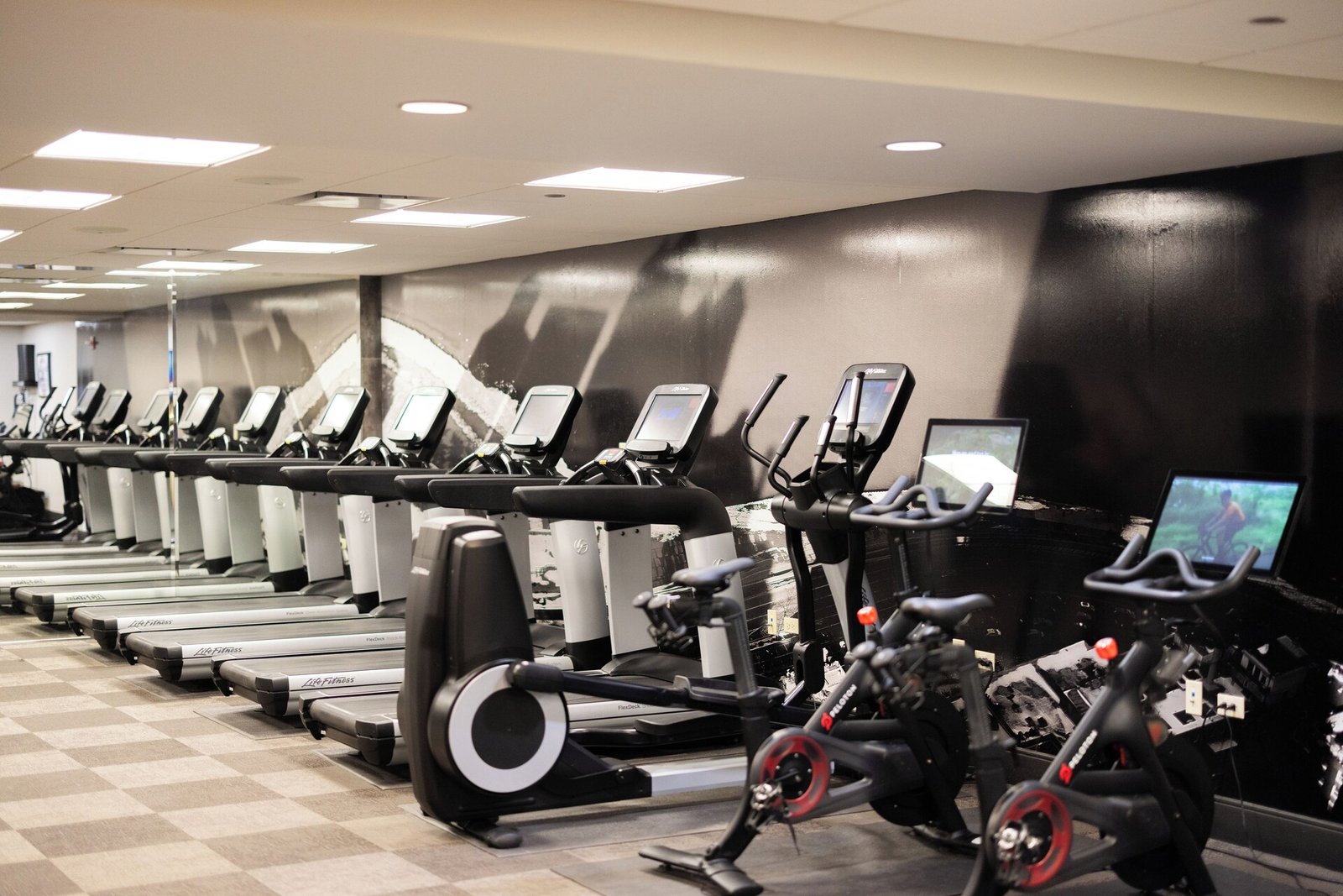 The Gwen, the gym