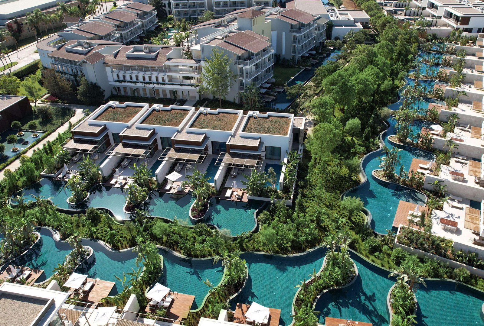 Barut Lara, how it began