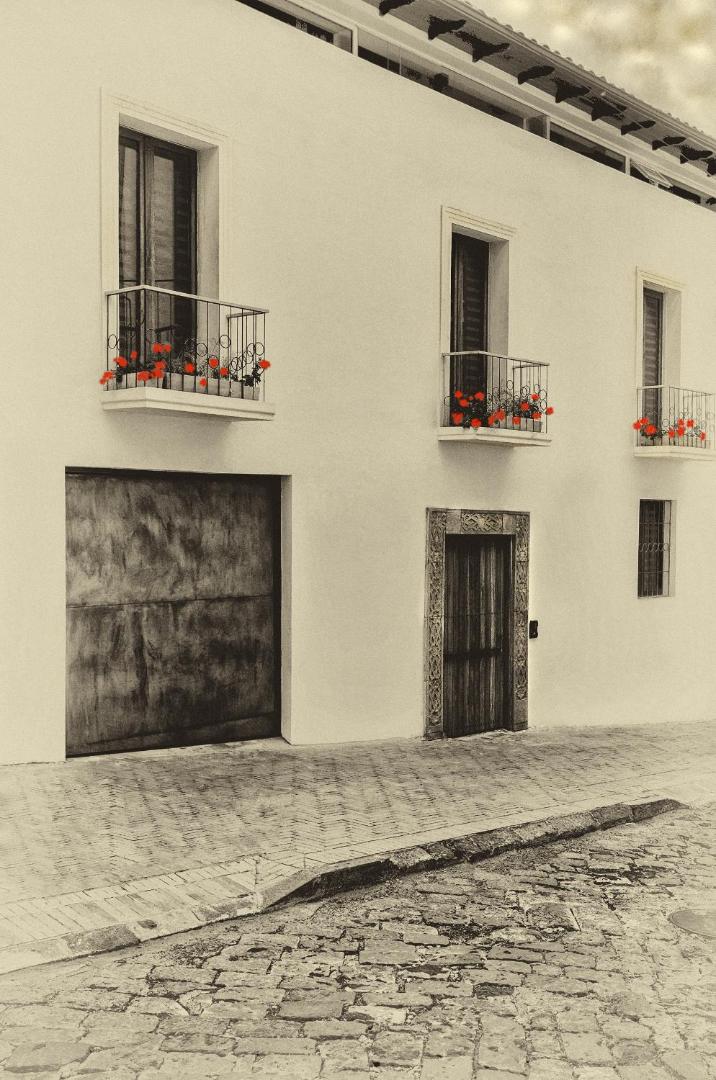Hotel Casa Gardenia, how it began
