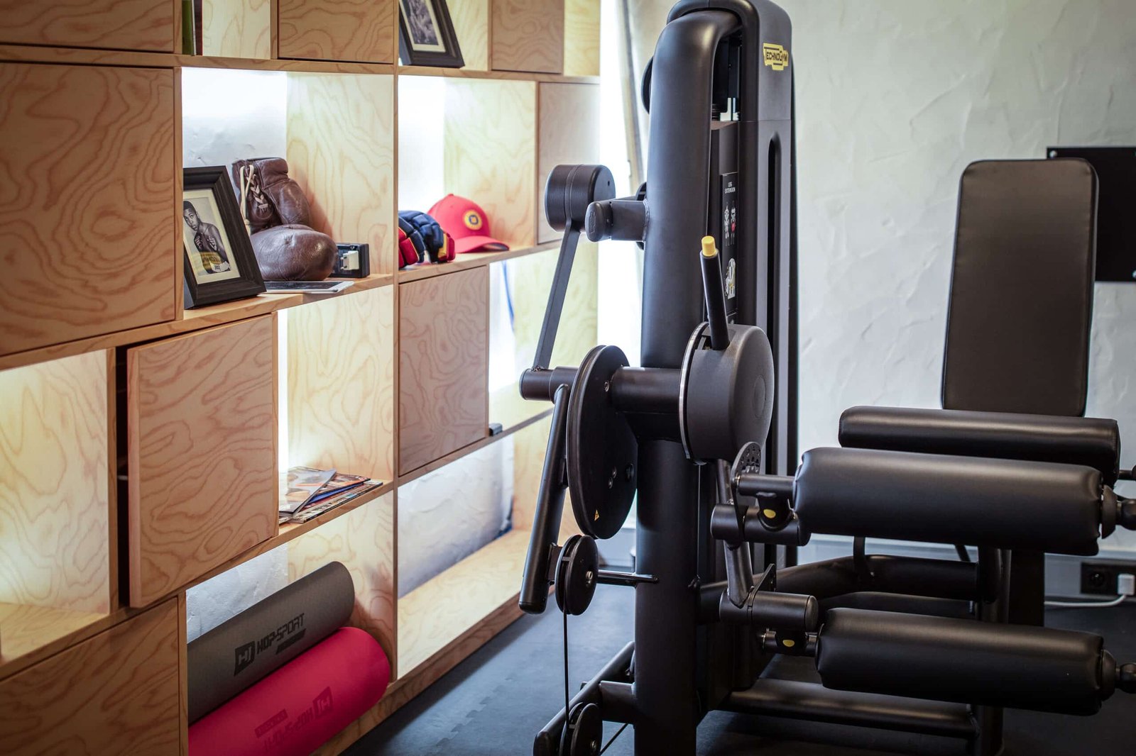 THE MANES Boutique Hotel Prague, the gym