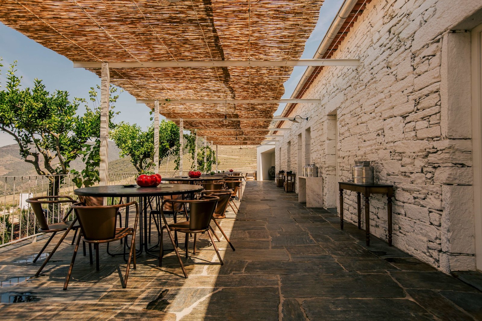 Ventozelo Hotel & Quinta, cantina de ventozelo