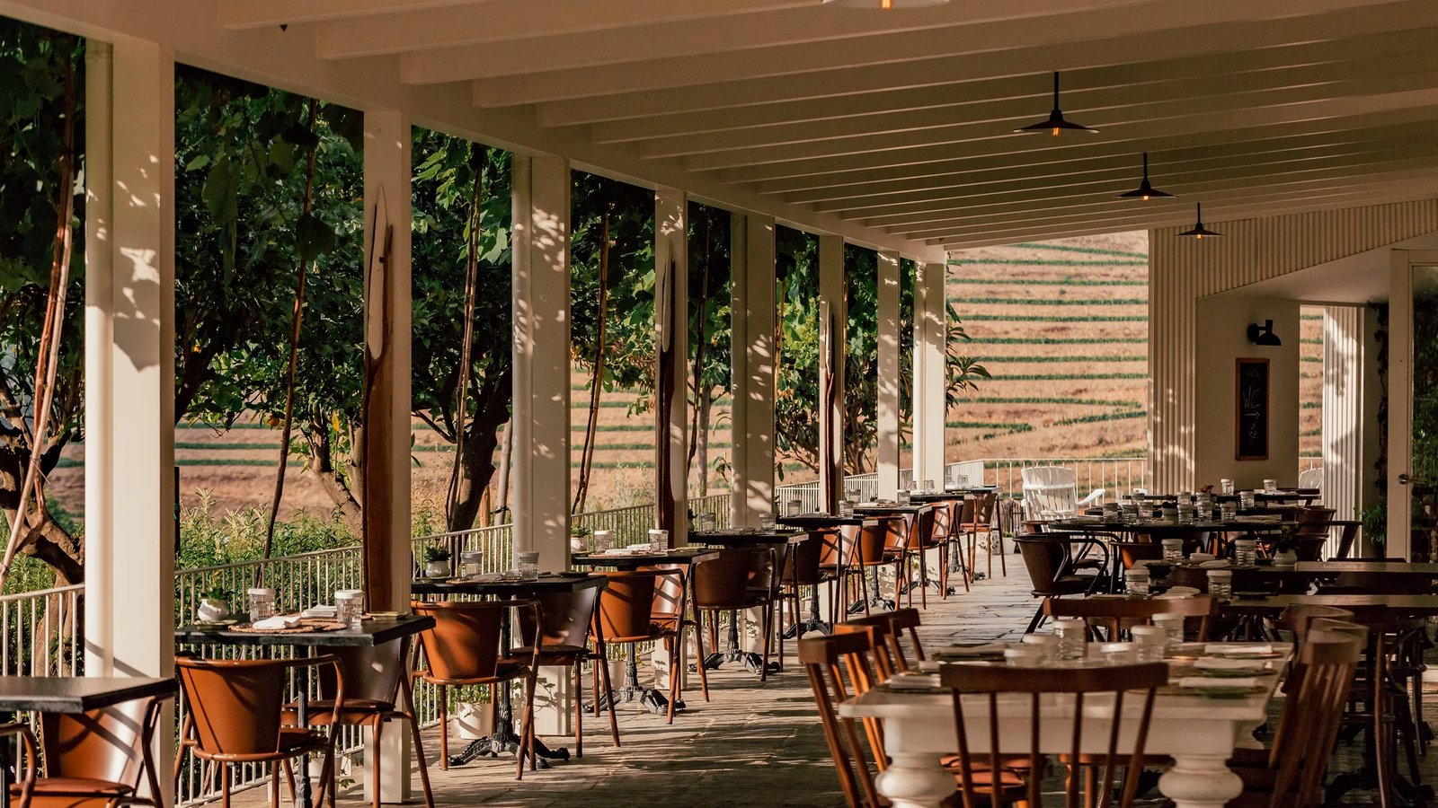 Ventozelo Hotel & Quinta, cantina de ventozelo