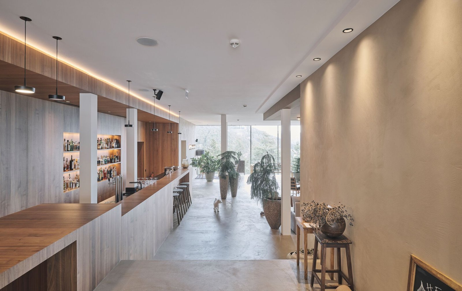 Hotel Saltus, saltino bistro & bar