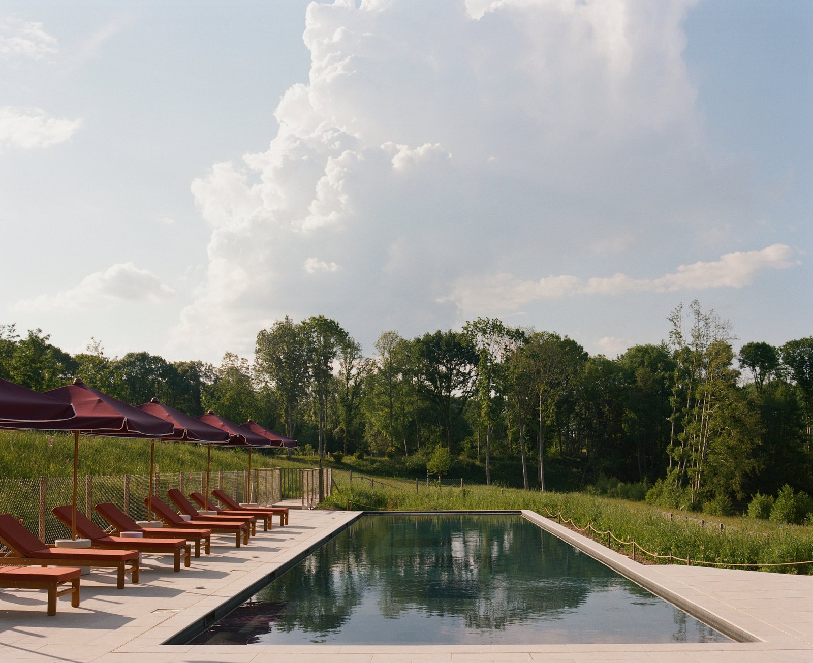 Repère Sauvage, the pool