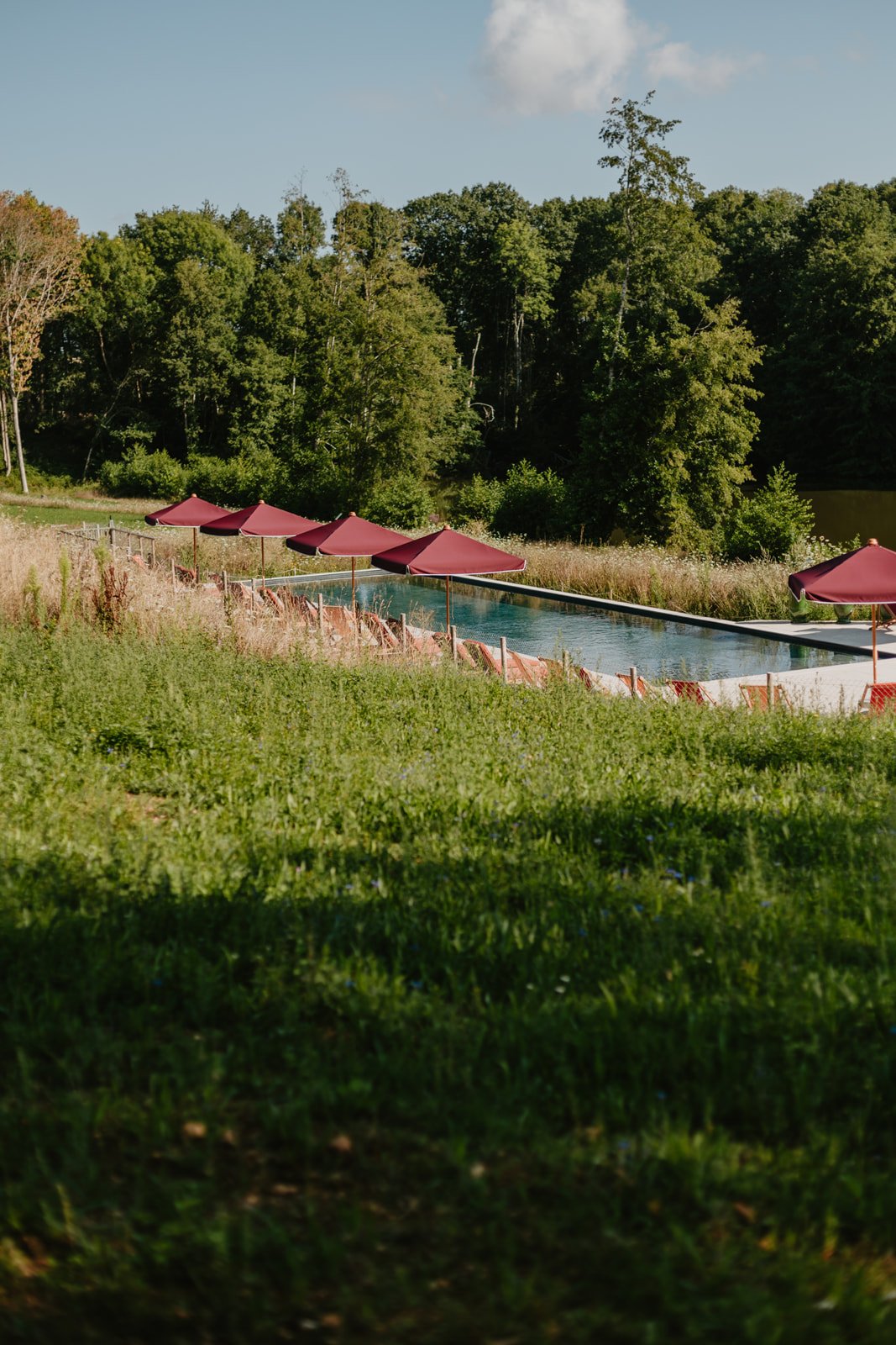 Repère Sauvage, the pool