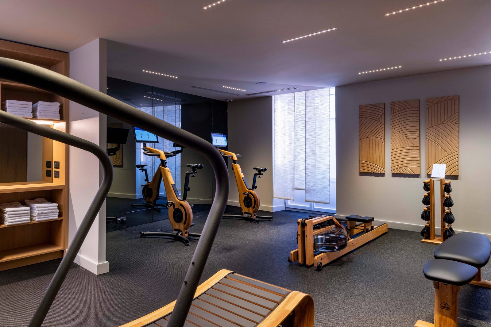 Maison Rouge Strasbourg Hotel & Spa, Autograph Collection, the gym