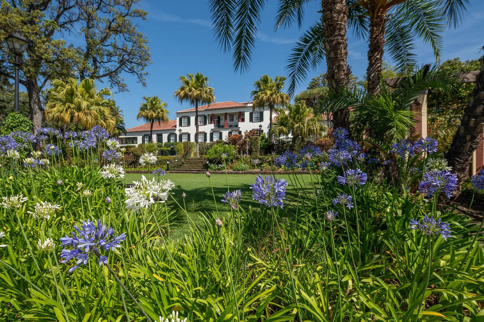 Quinta Jardins do Lago, how it began