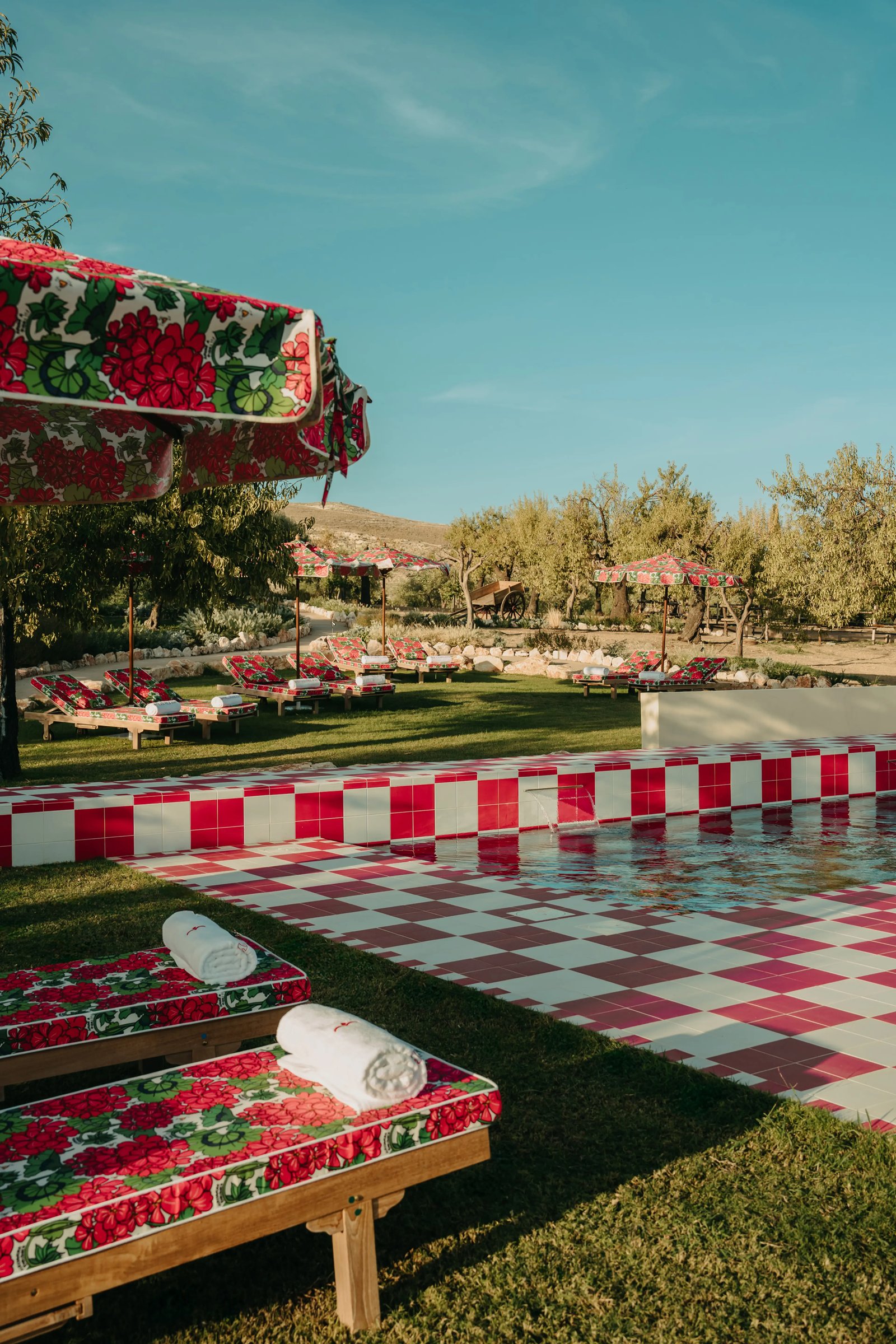 Braccialieri, the pool