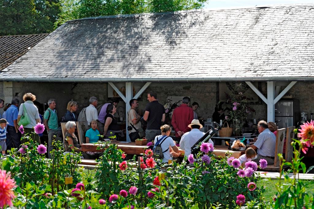 Château de la Bourdaisière, at the table