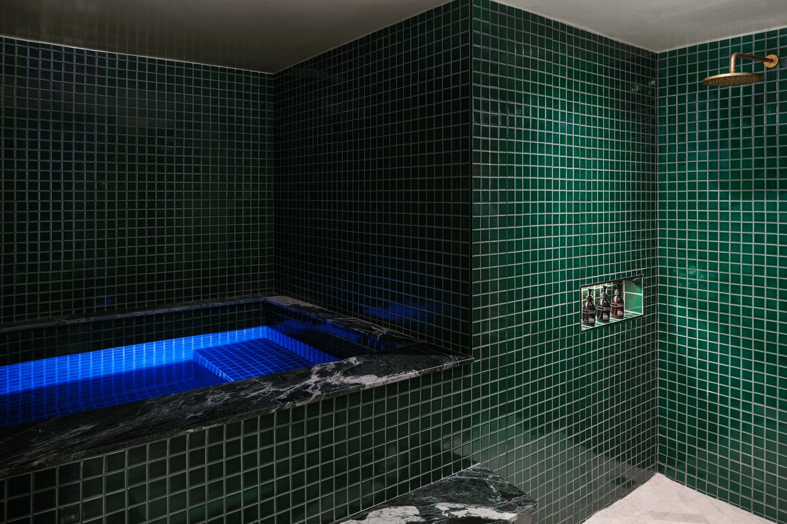 Morea House, Autograph Collection, cold plunge and gym