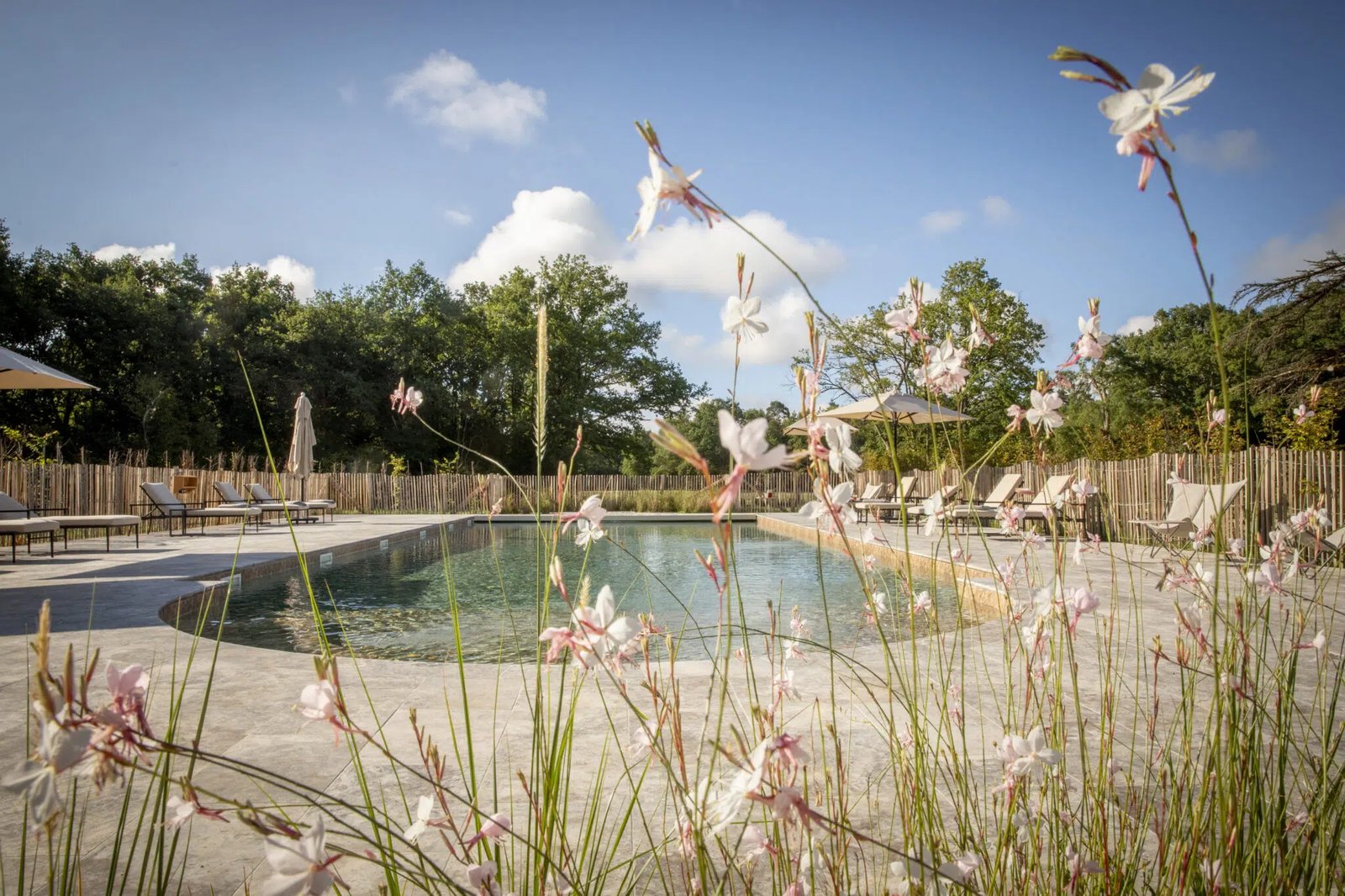 Les Hayes en Sologne, the pool